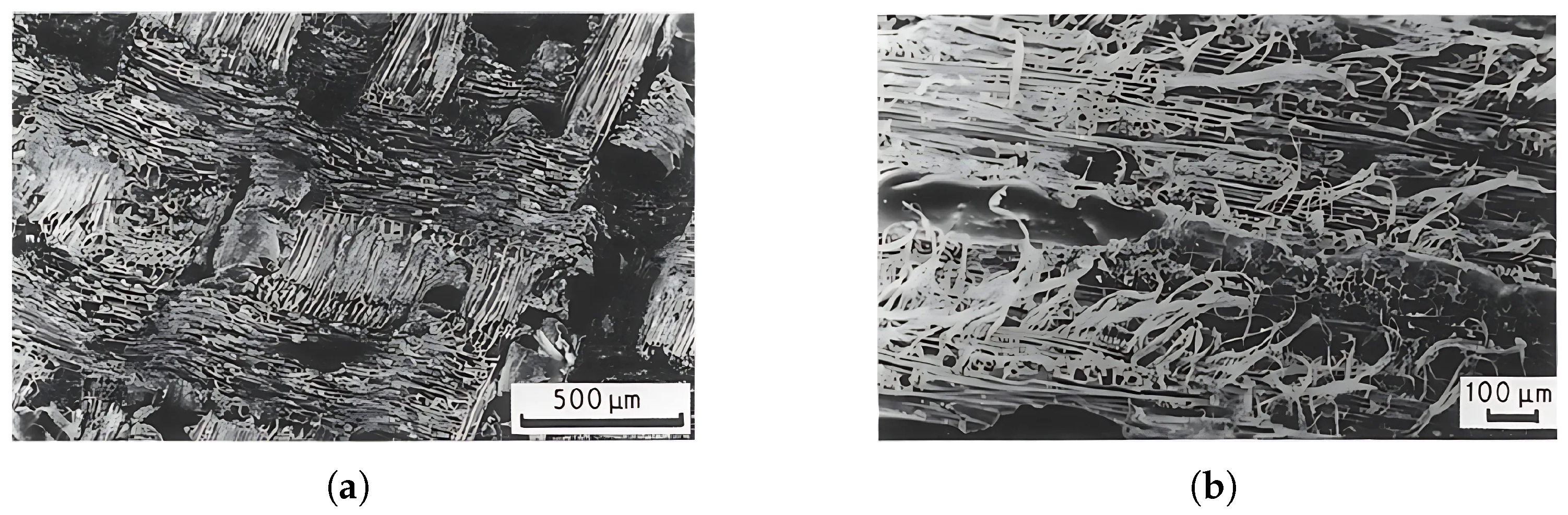 Materials 18 05118 g016