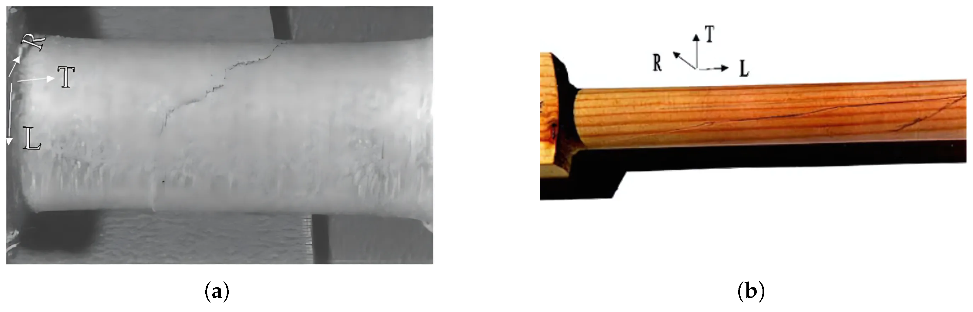 Materials 18 05118 g019