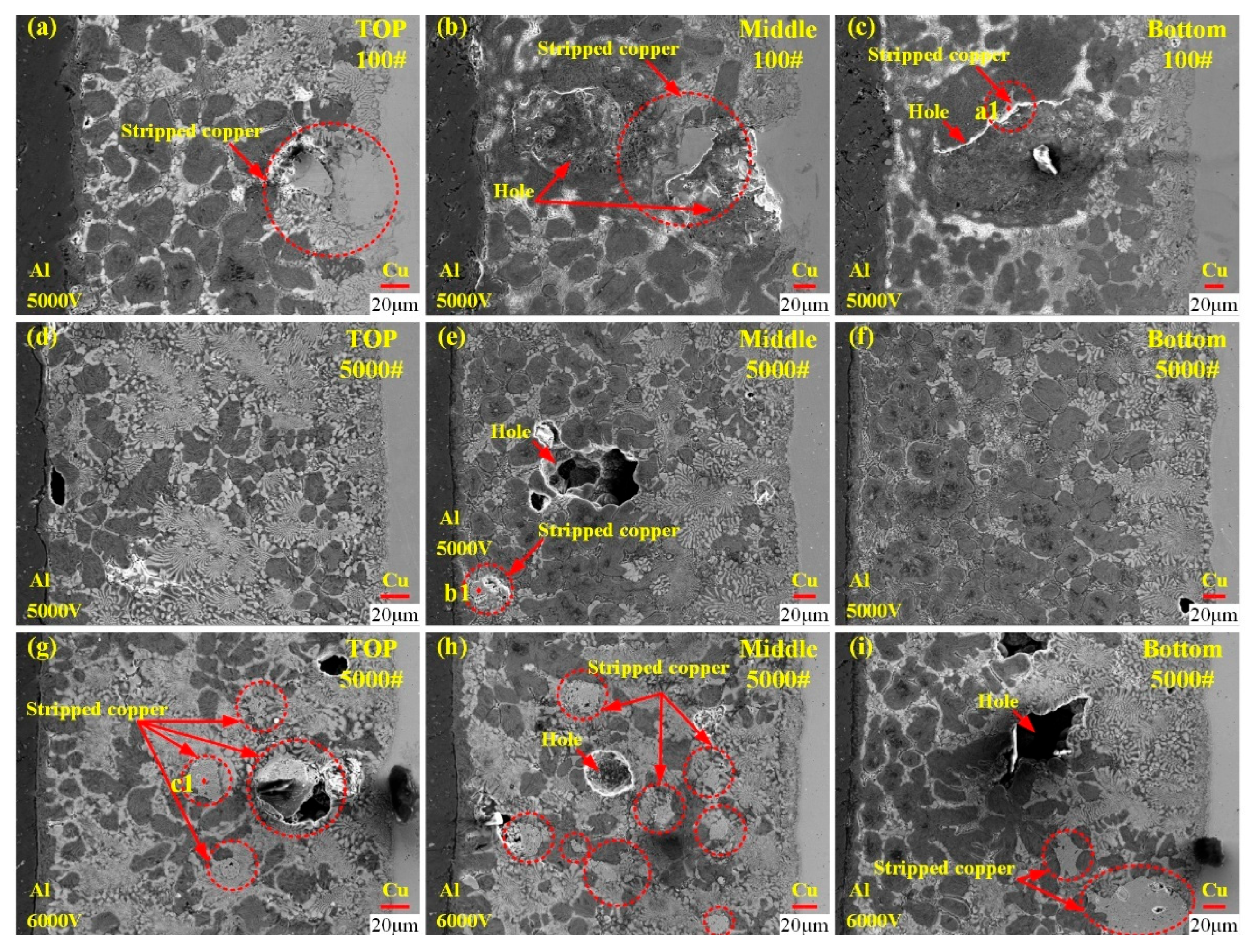 Materials 18 05121 g006