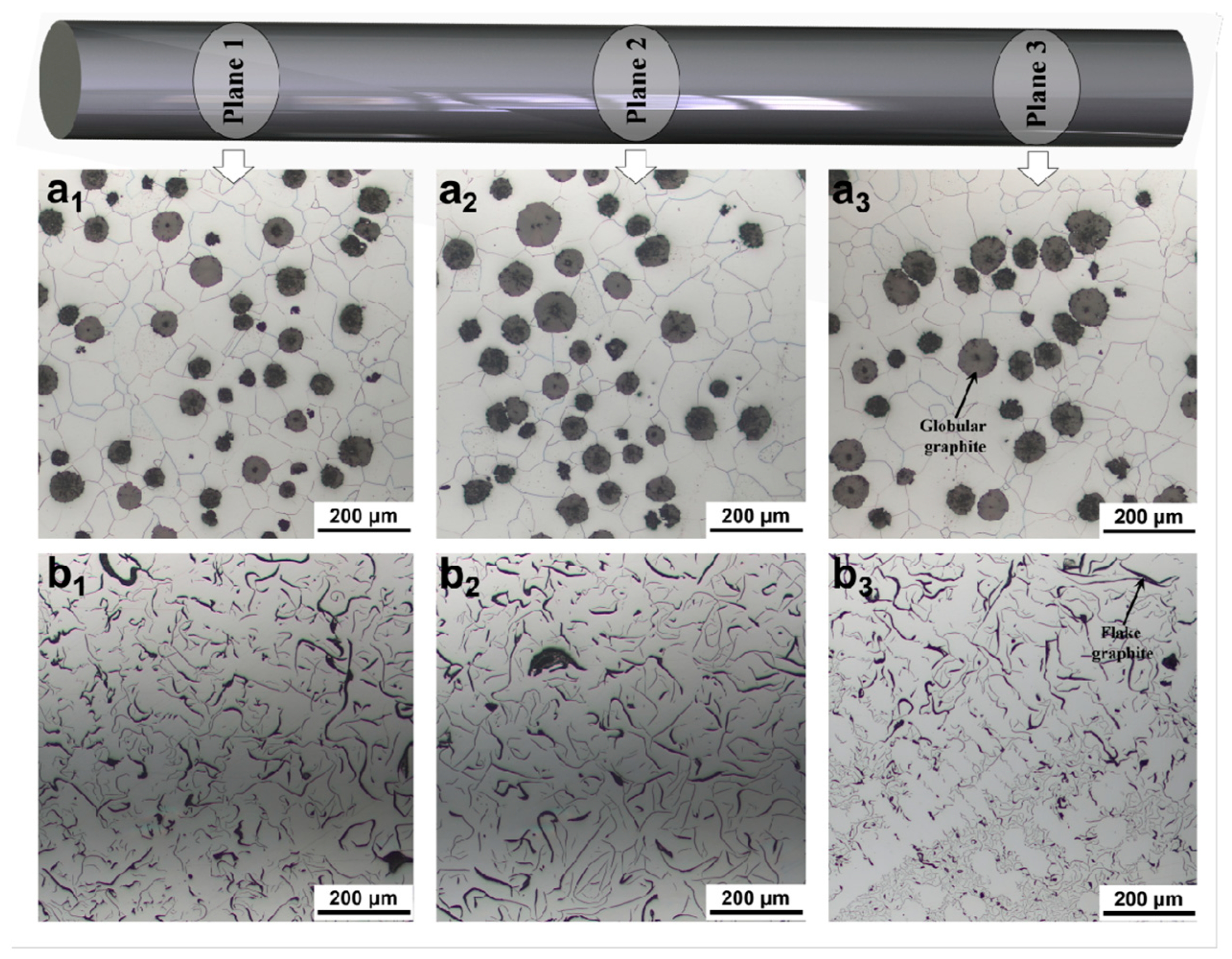Materials 18 05128 g002
