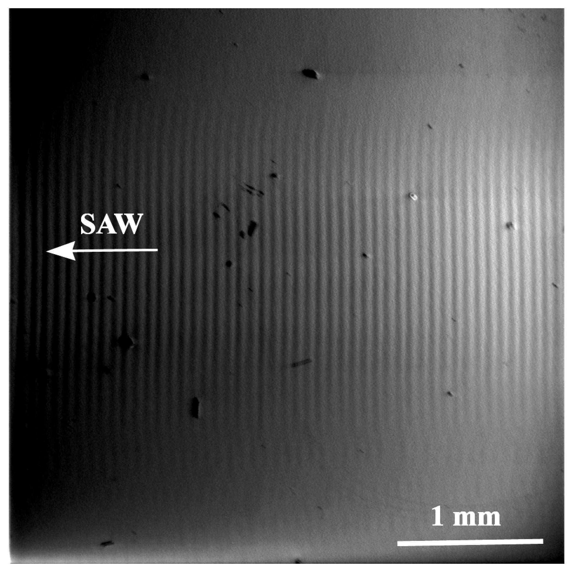 Materials 18 05134 g007