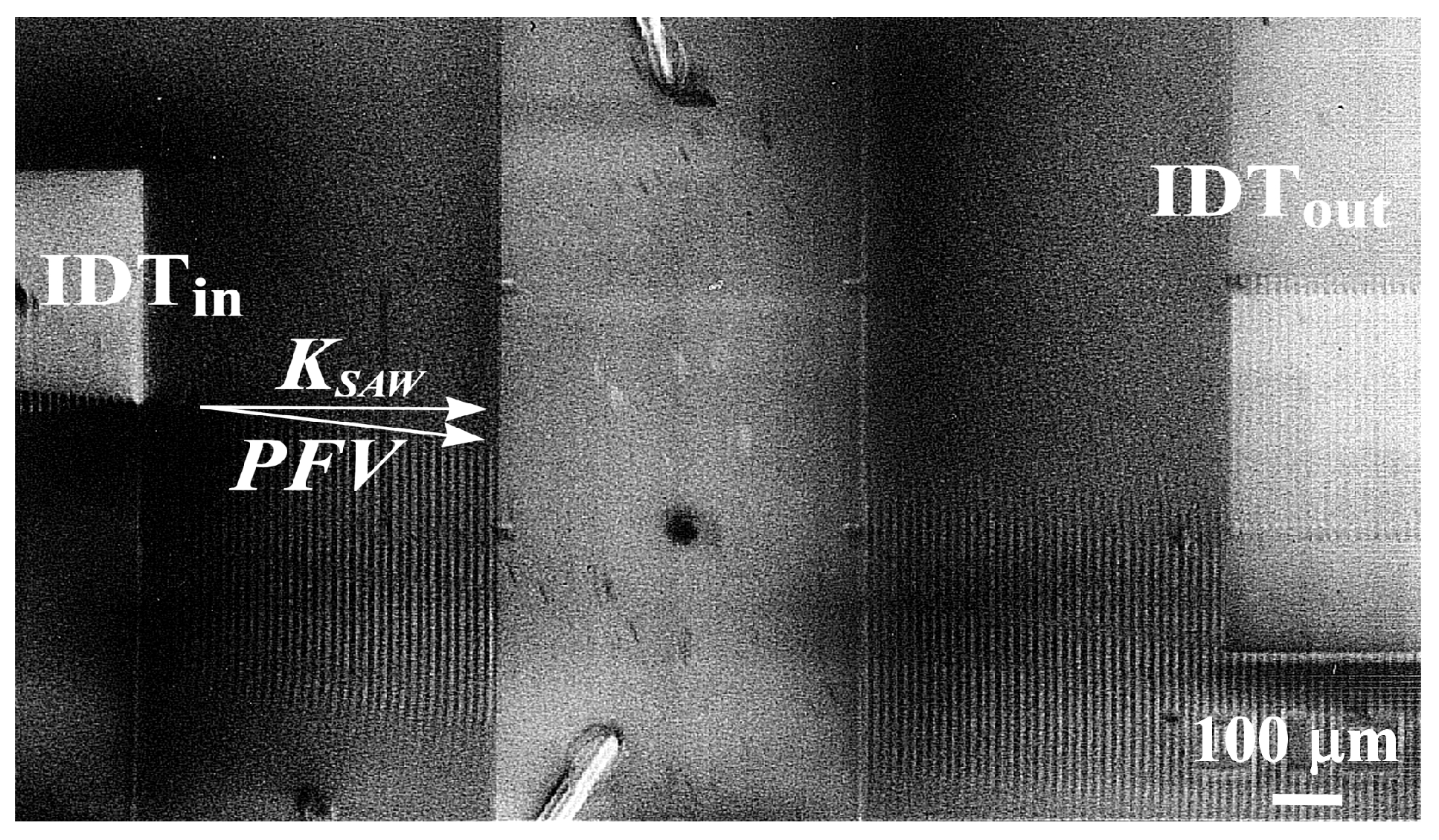 Materials 18 05134 g008