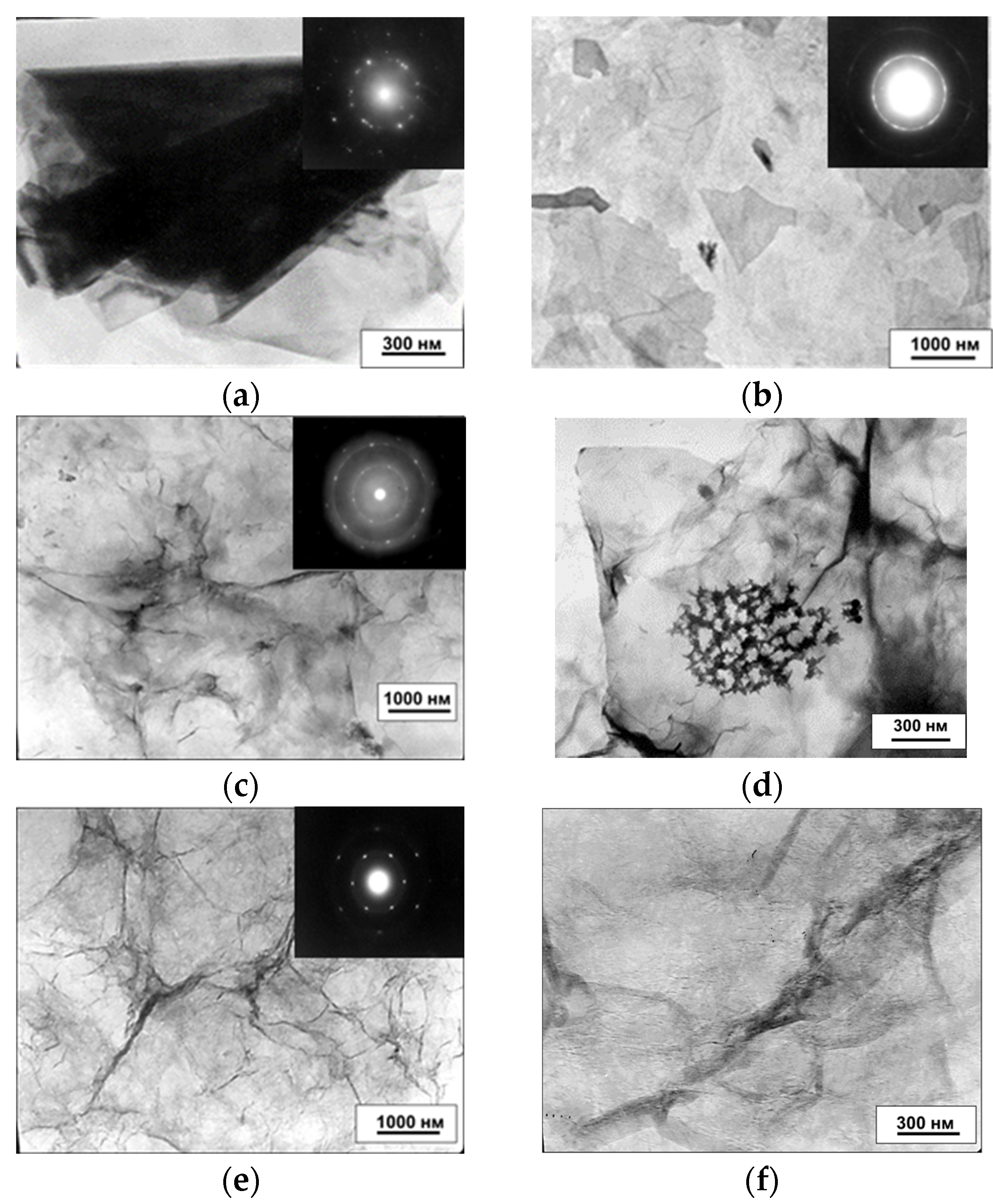 Materials 18 05135 g005