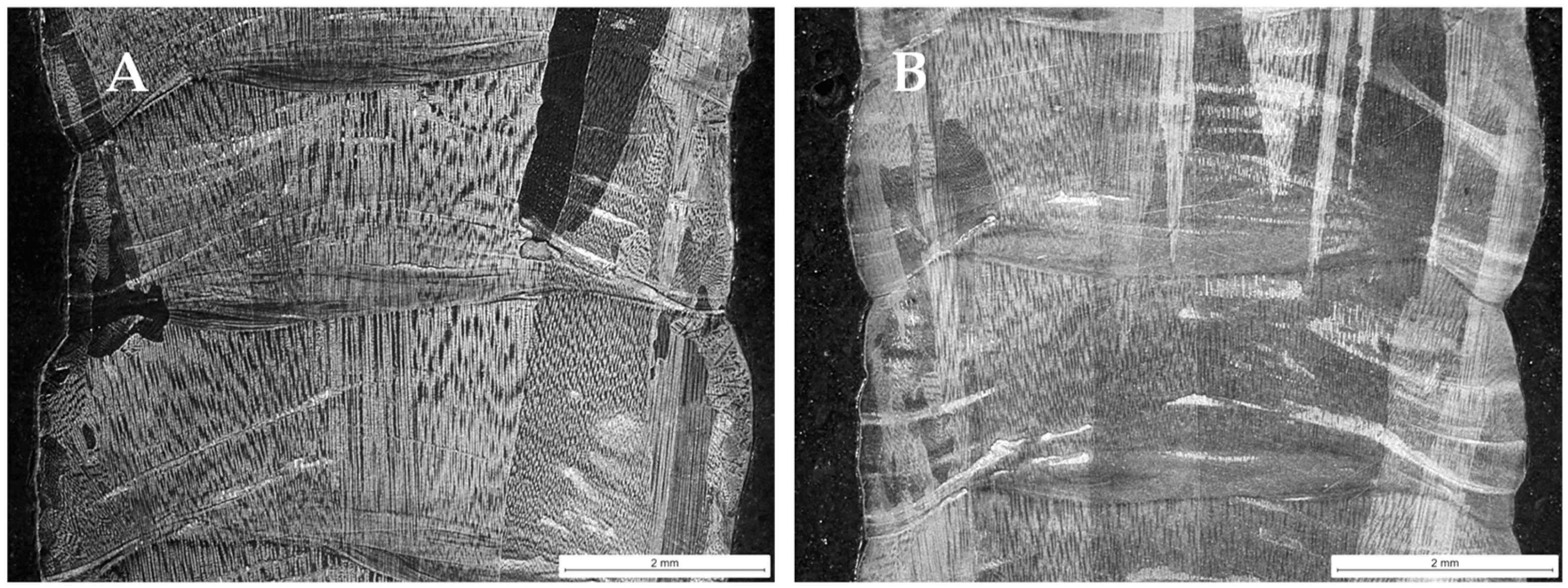 Materials 18 05146 g006