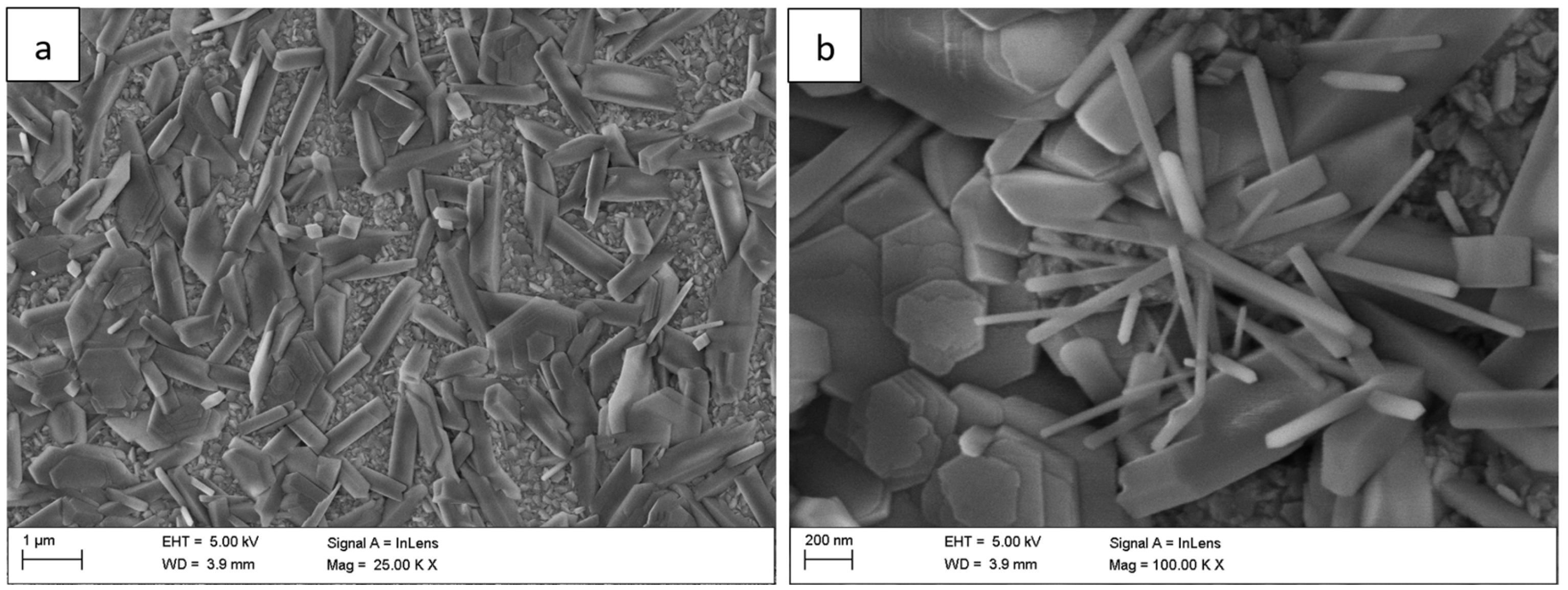 Materials 18 05150 g002
