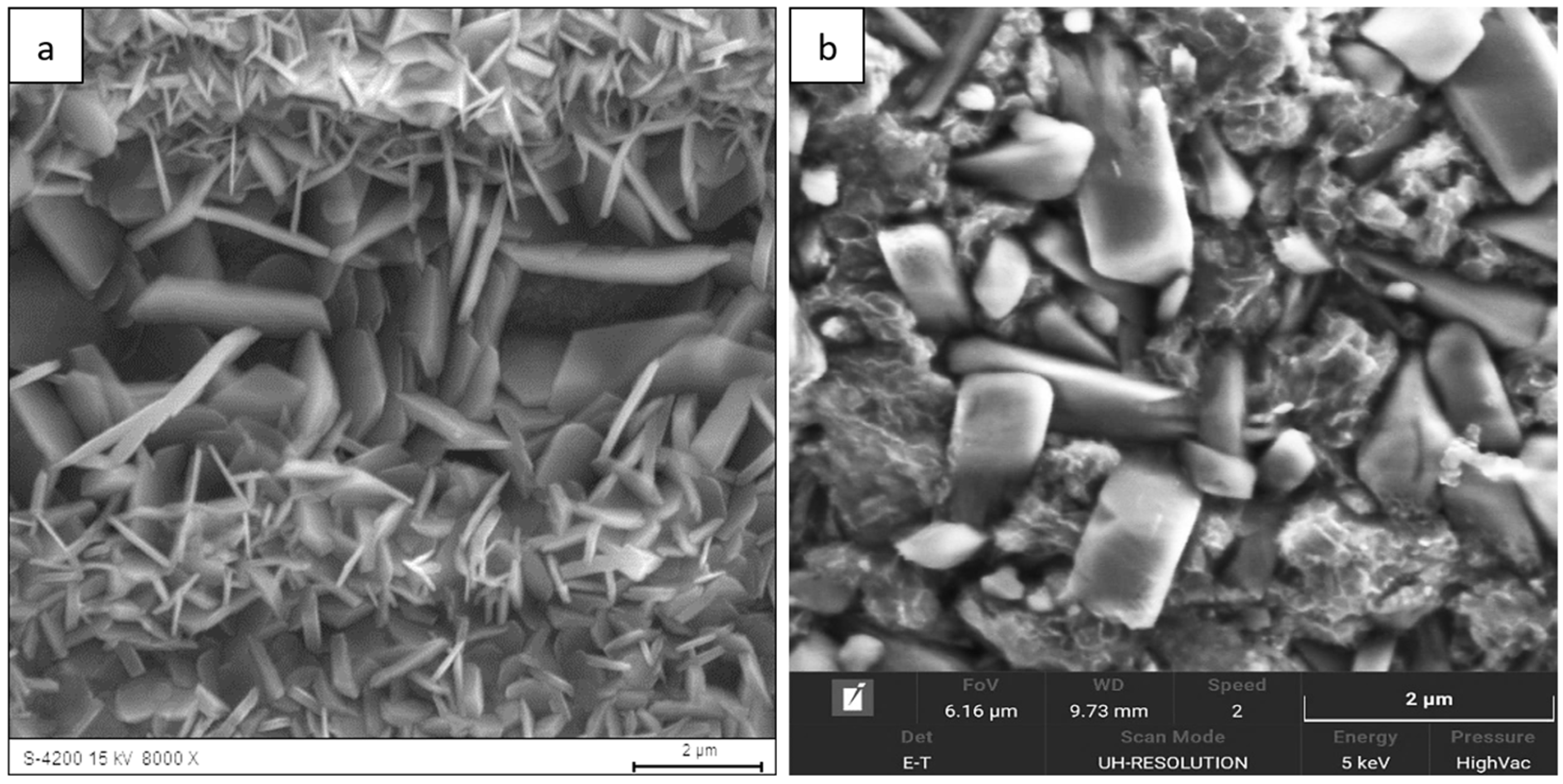 Materials 18 05150 g006