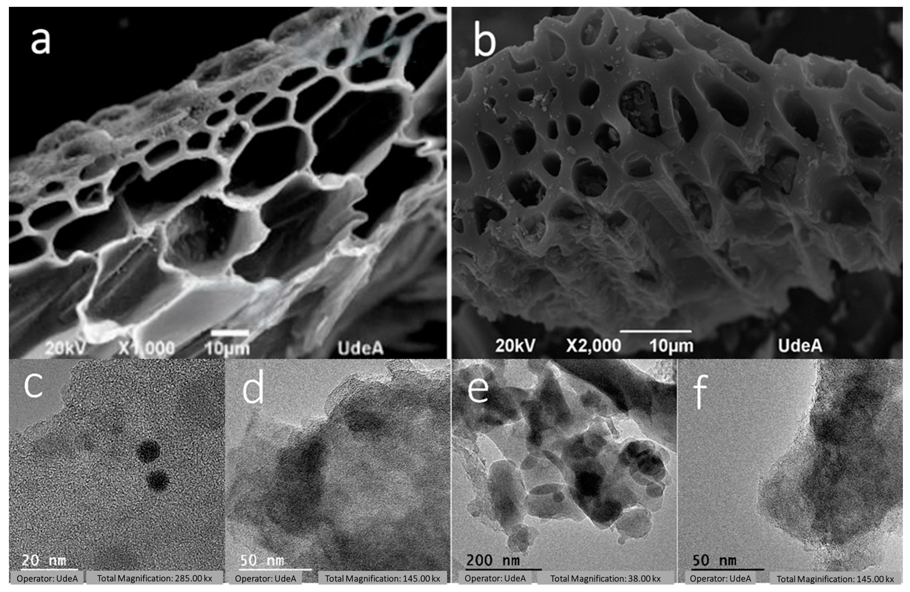 Materials 18 05151 g005