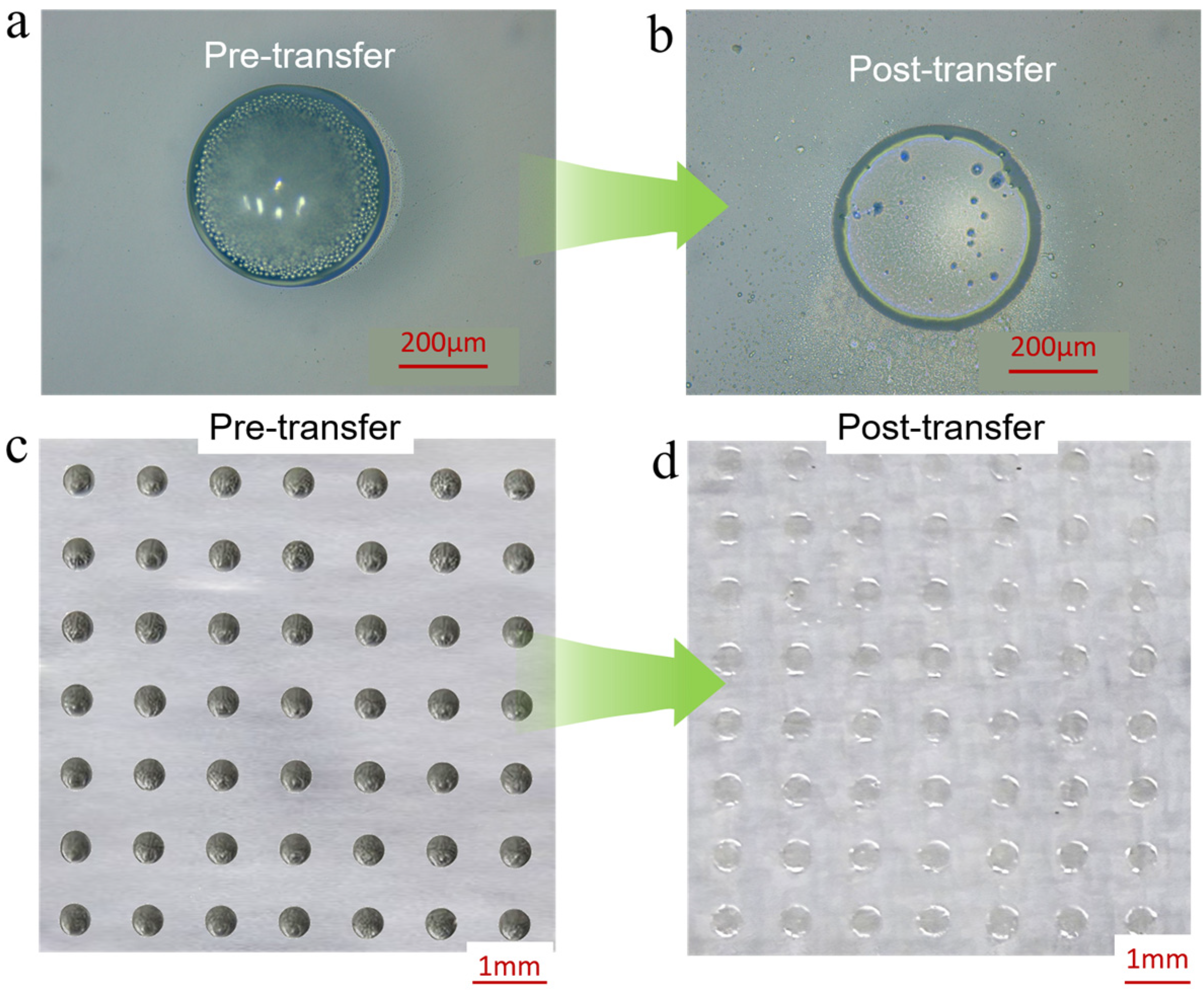 Materials 18 05154 g0a1