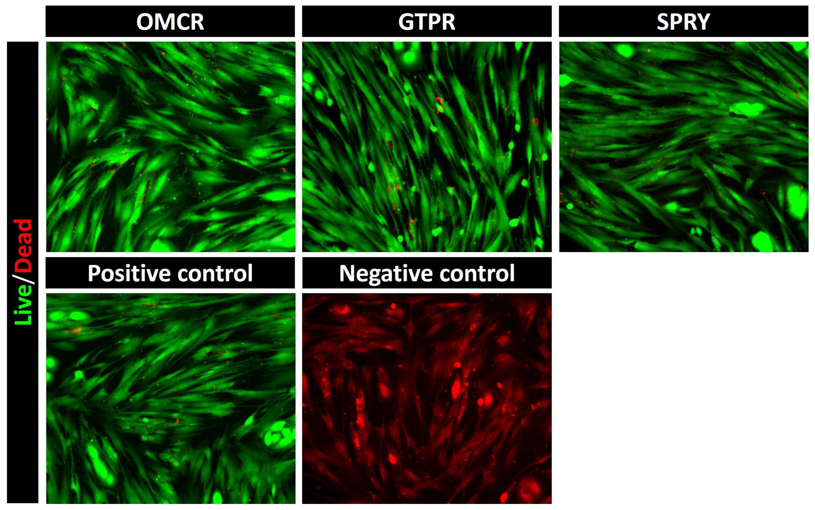 Materials 18 05170 g004