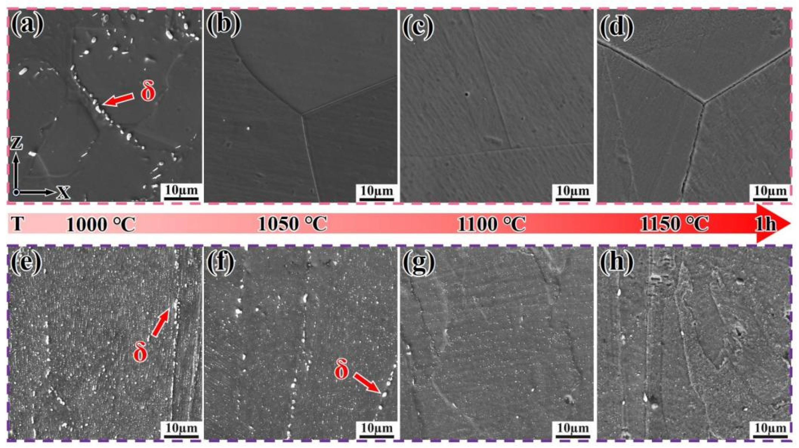 Materials 18 05174 g004 Materials 18 05174 g004