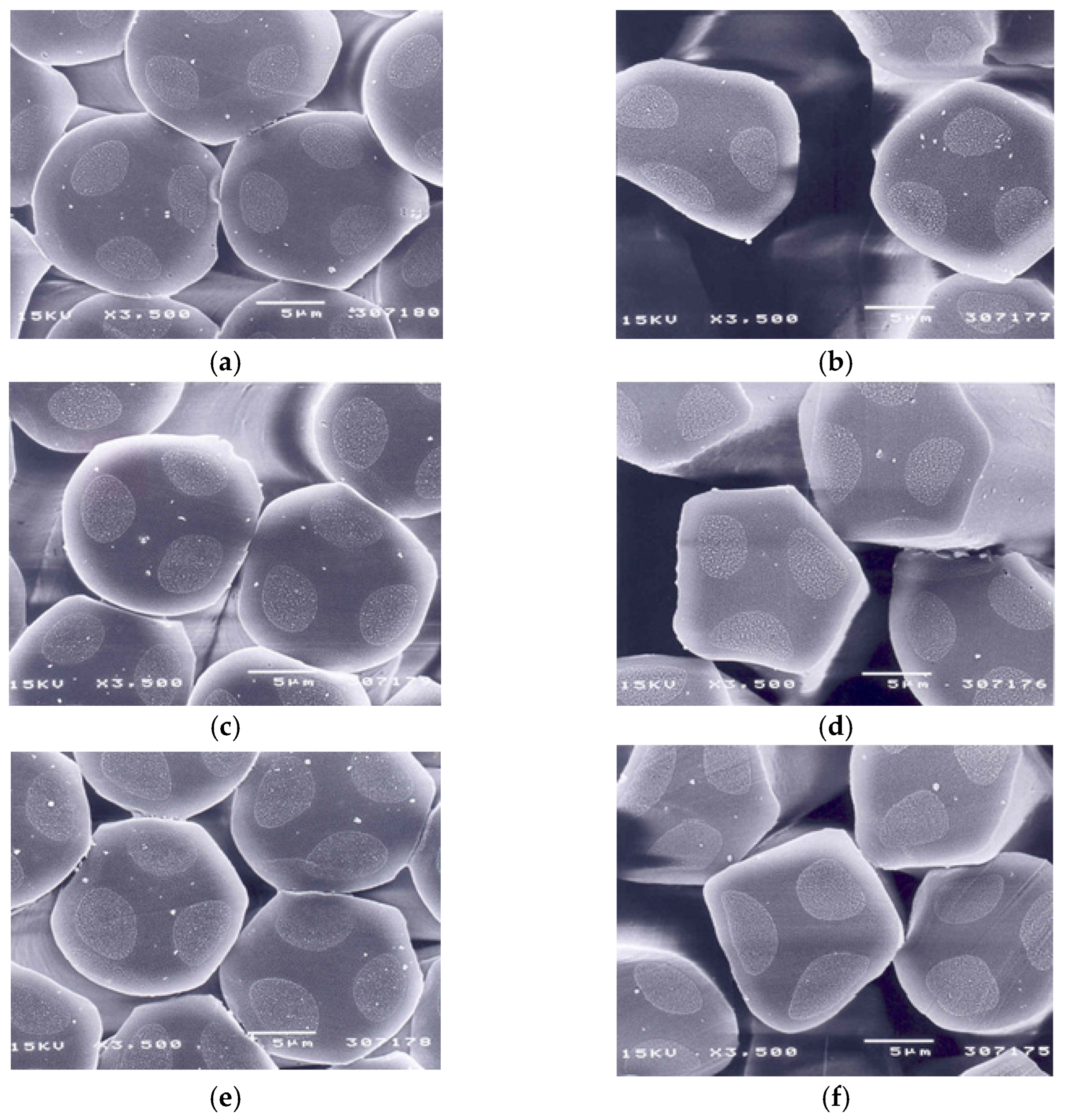 Materials 18 05188 g005 Materials 18 05188 g005