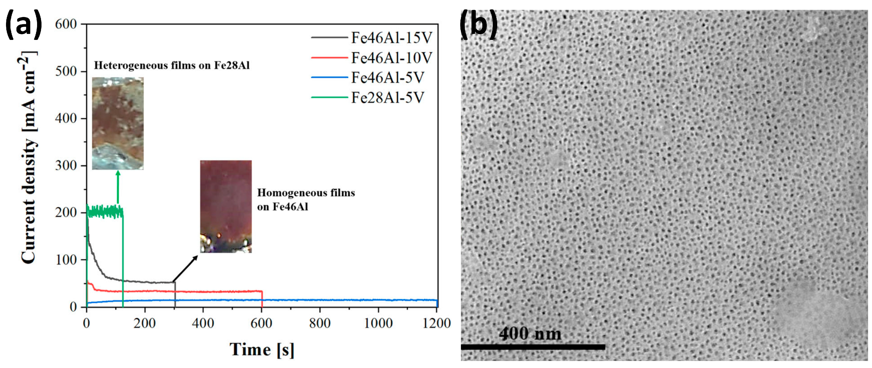Materials 18 05192 g006 Materials 18 05192 g006