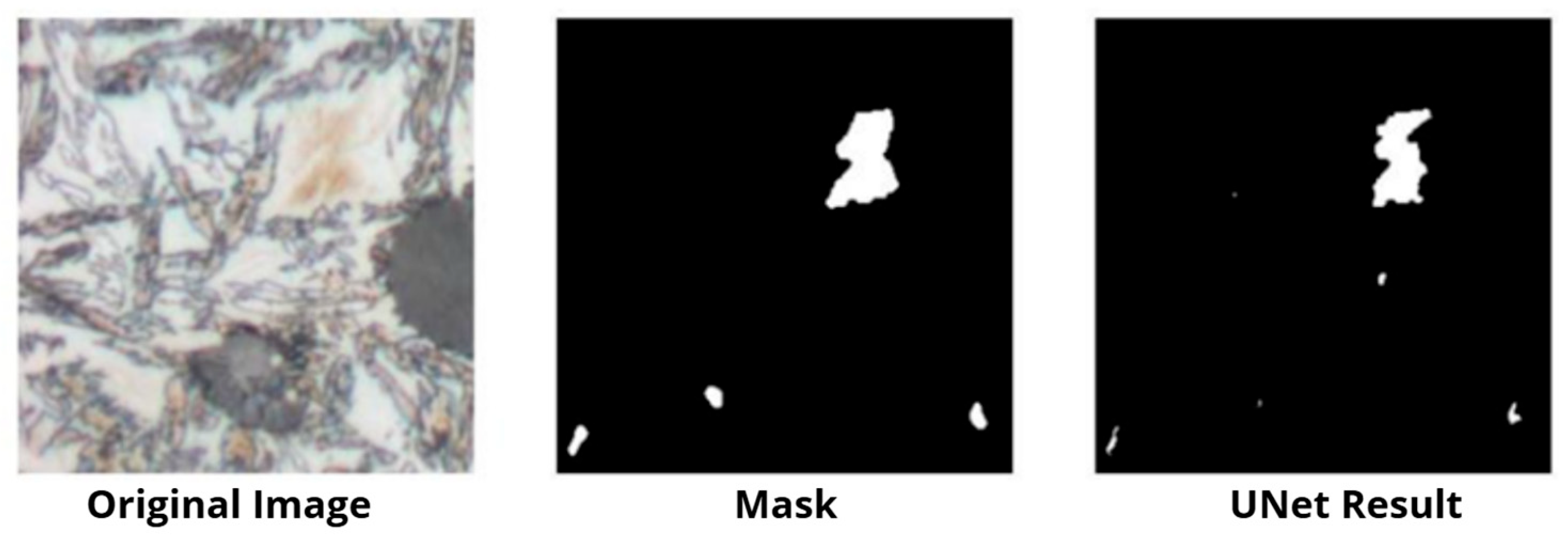 Materials 18 05207 g009 Materials 18 05207 g009