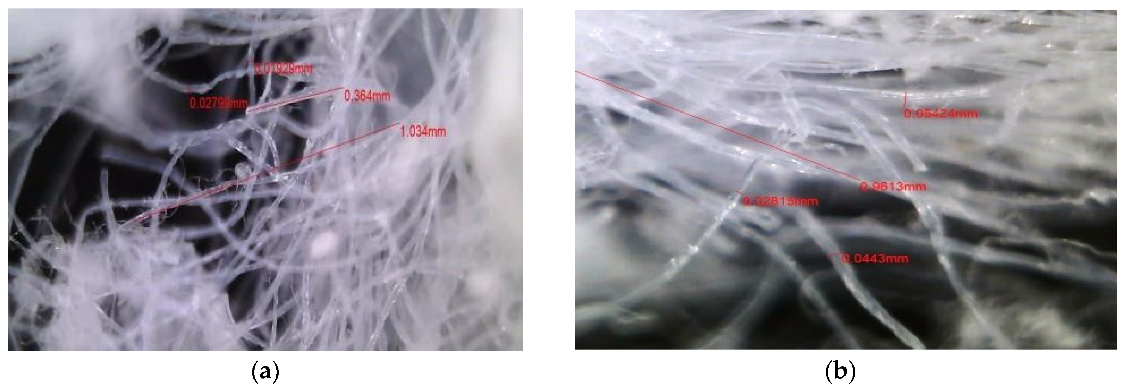 Materials 18 05218 g004