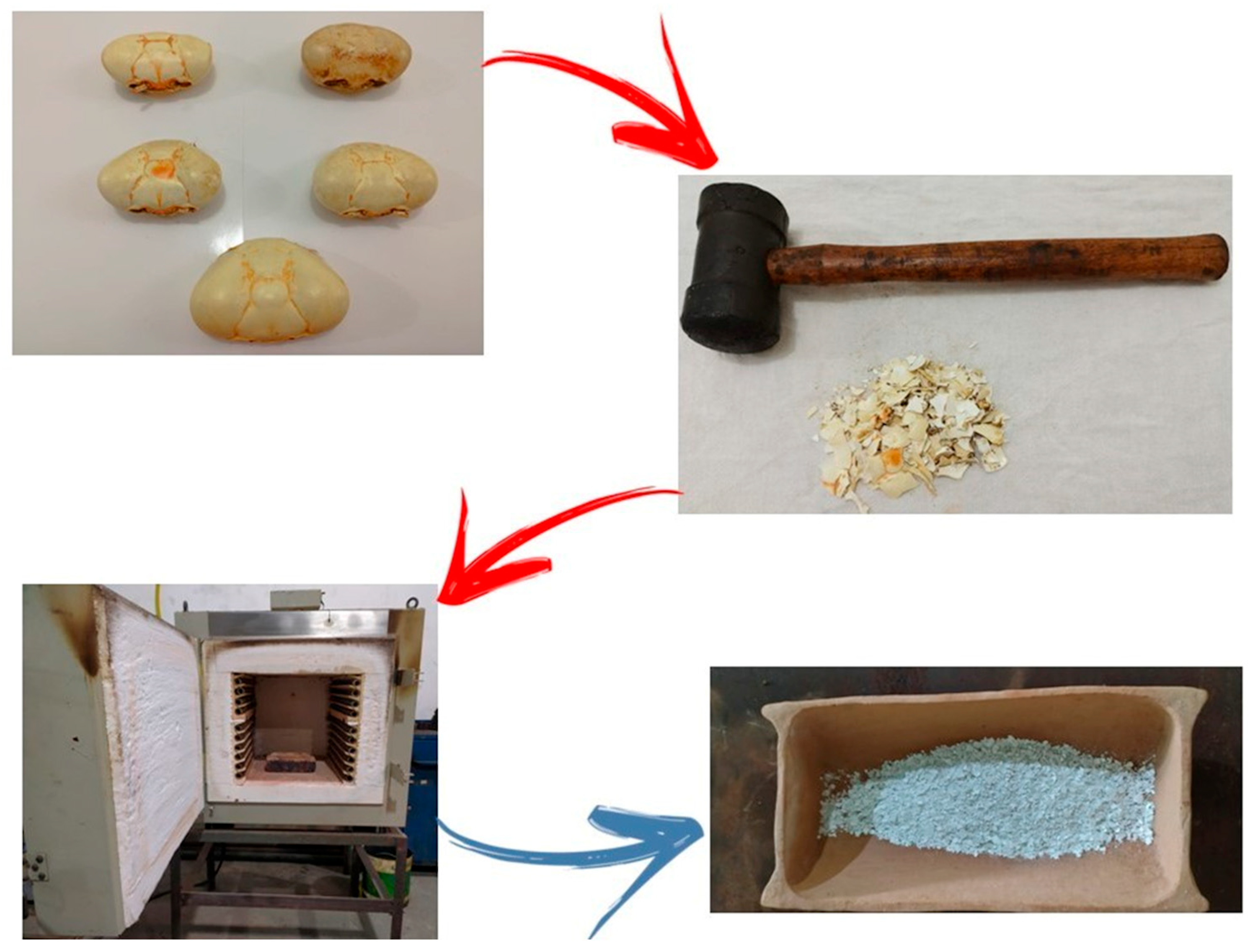 Materials 18 05222 g001