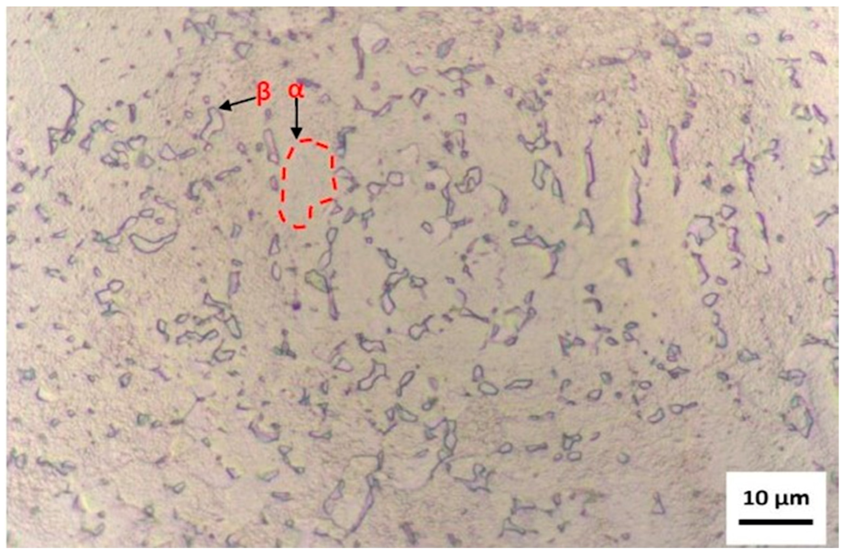 Materials 18 05222 g004