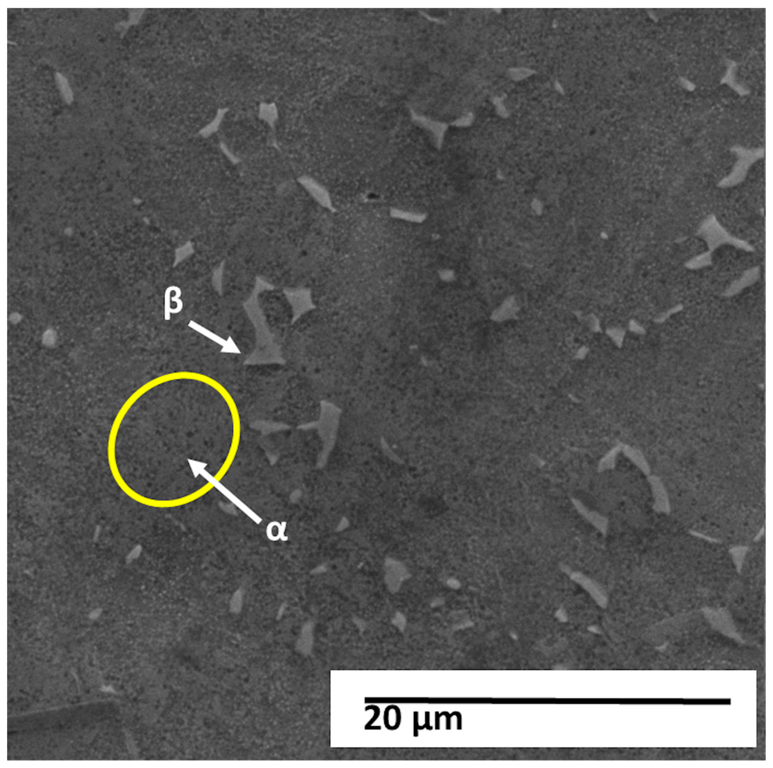 Materials 18 05222 g005