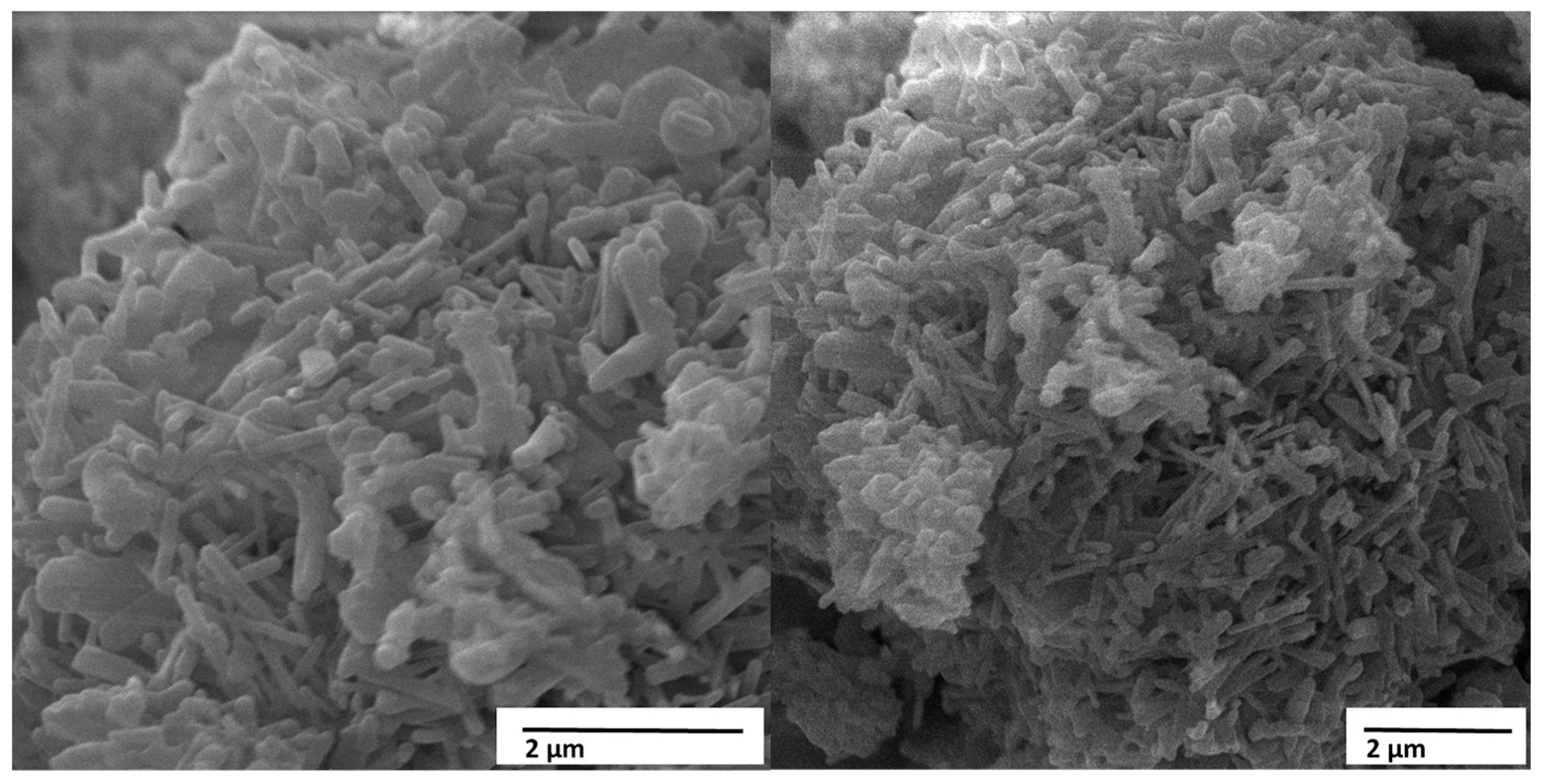 Materials 18 05222 g010