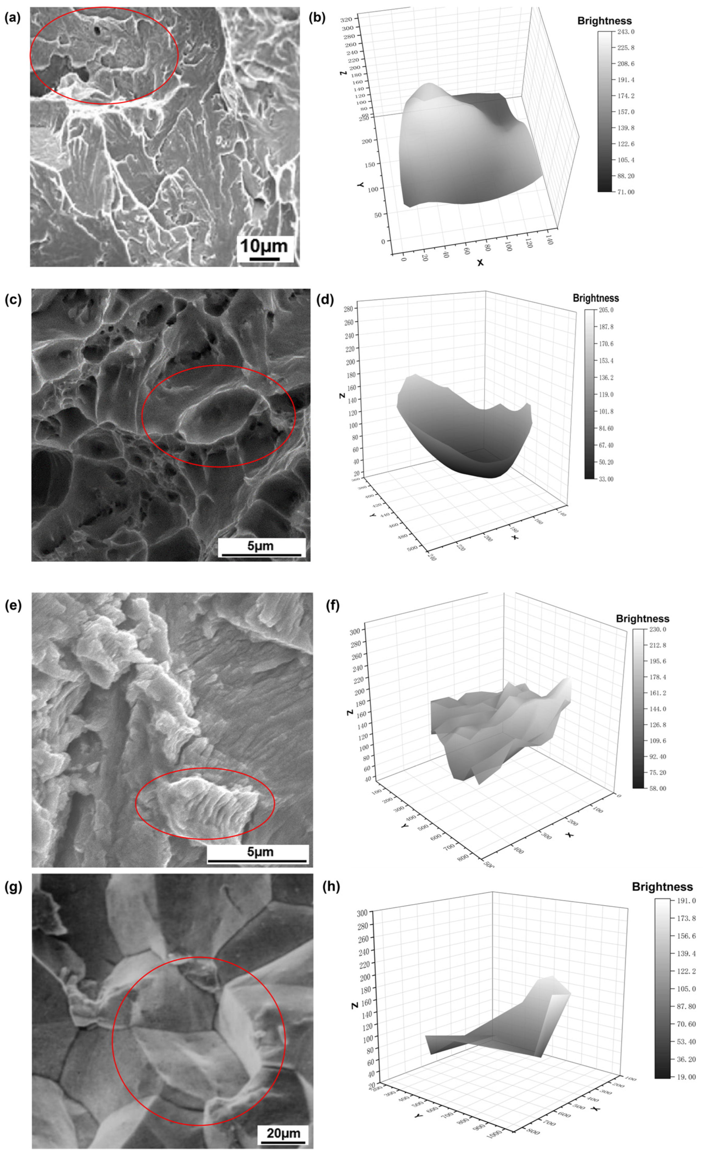 Materials 18 05233 g006