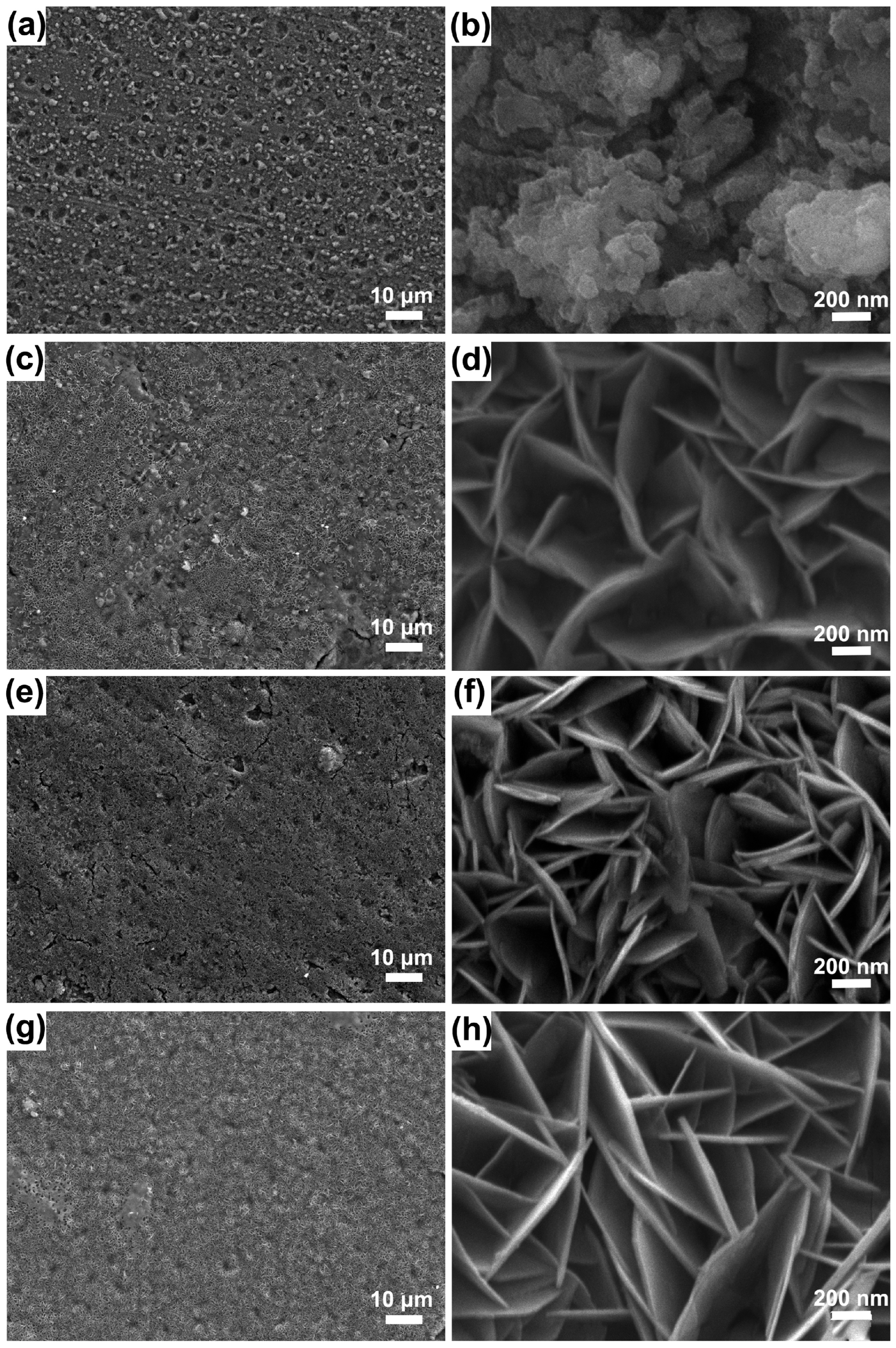 Materials 18 05249 g003 Materials 18 05249 g003