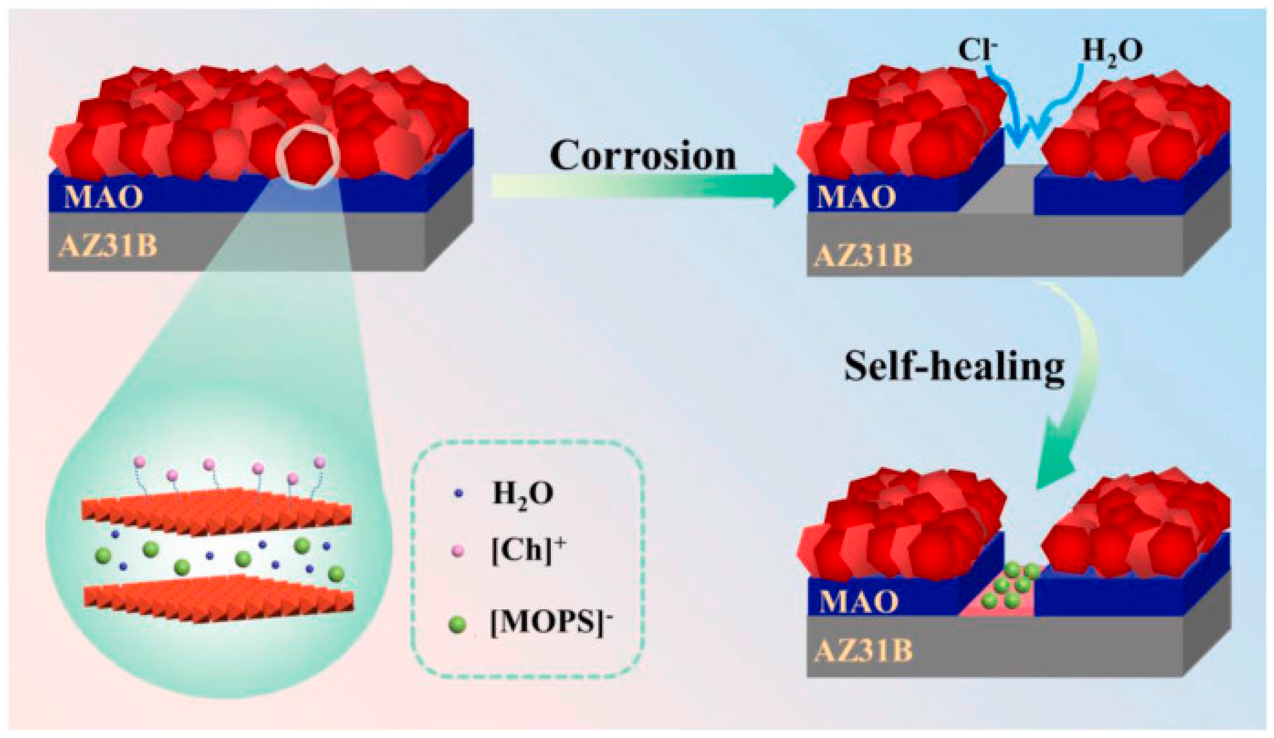 Materials 18 05249 g008 Materials 18 05249 g008