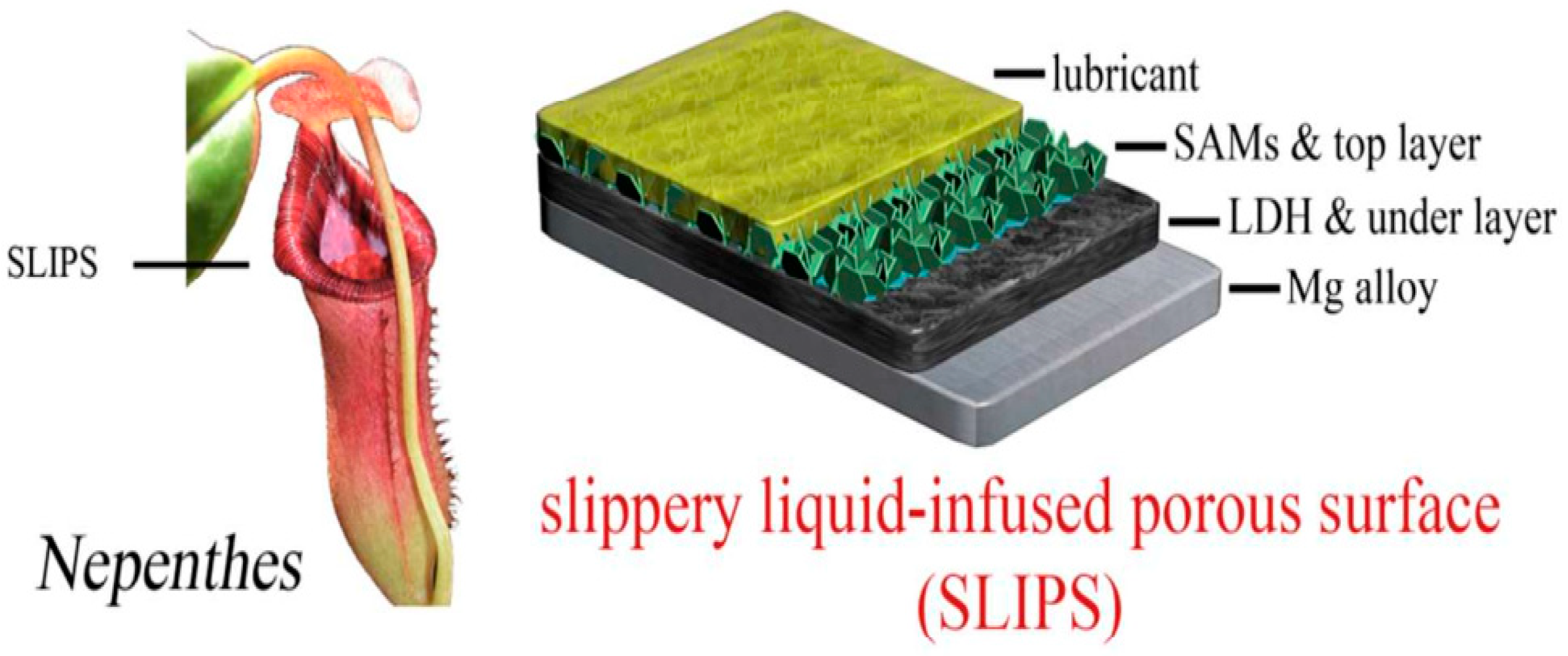 Materials 18 05249 g010 Materials 18 05249 g010