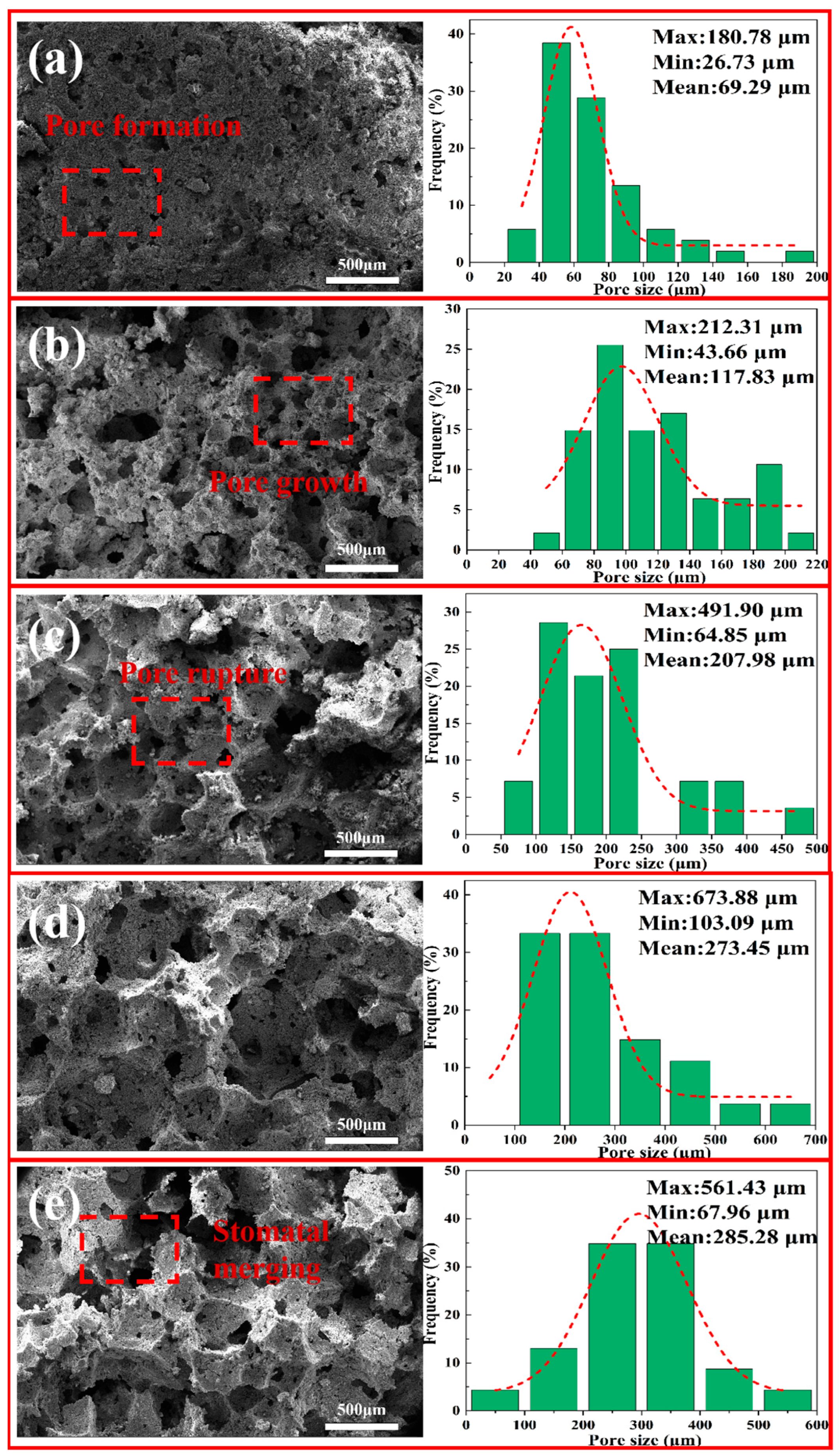 Materials 18 05253 g011 Materials 18 05253 g011