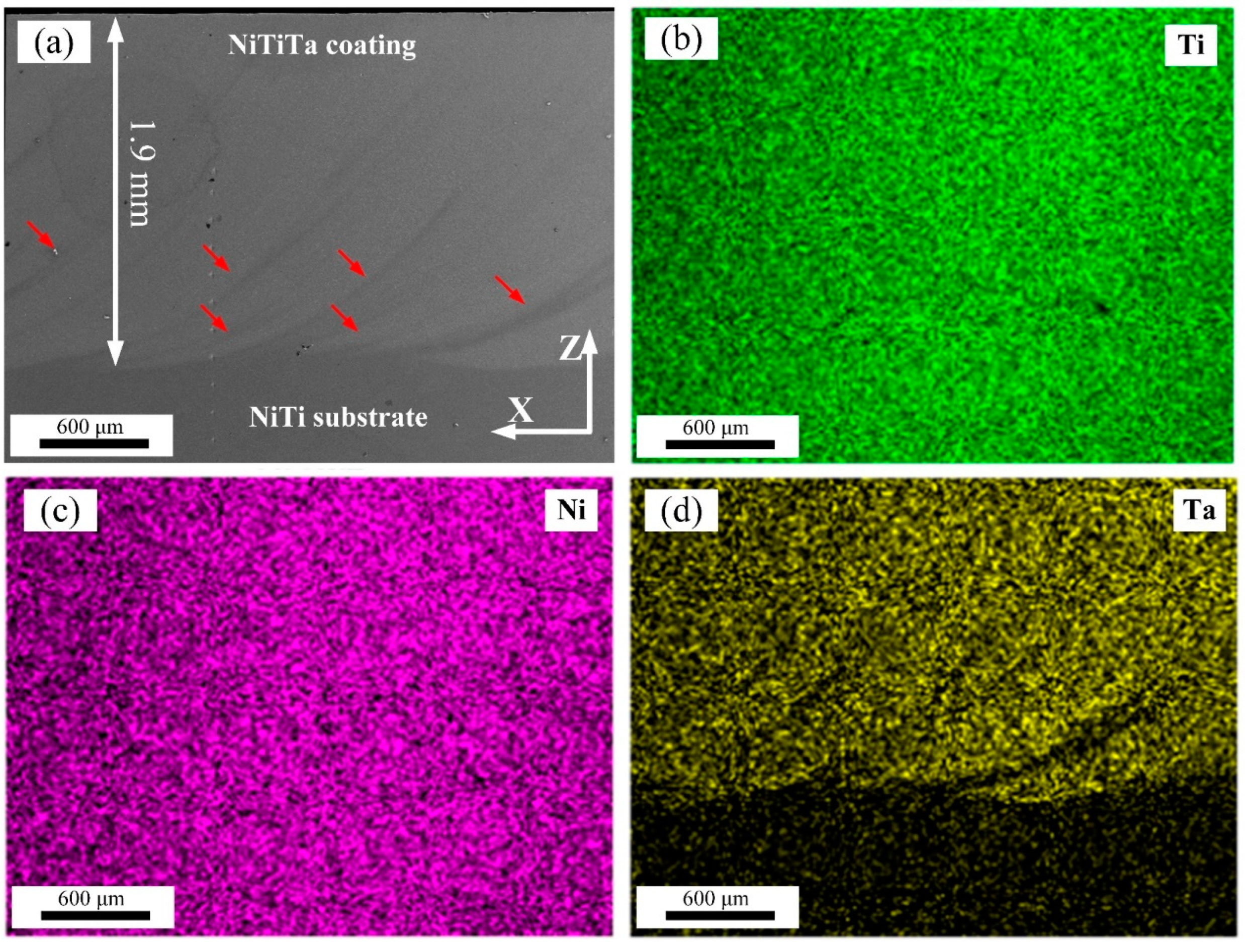Materials 18 05255 g002 Materials 18 05255 g002