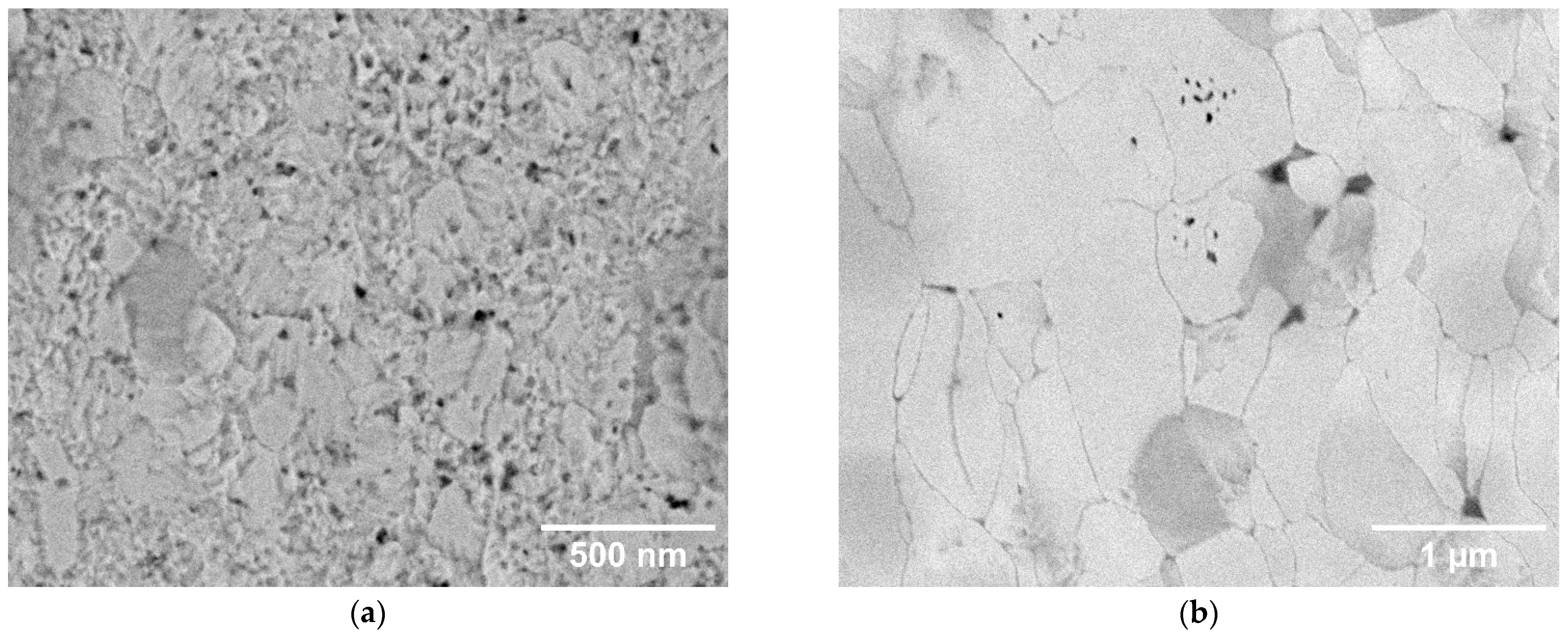 Materials 18 05265 g003a