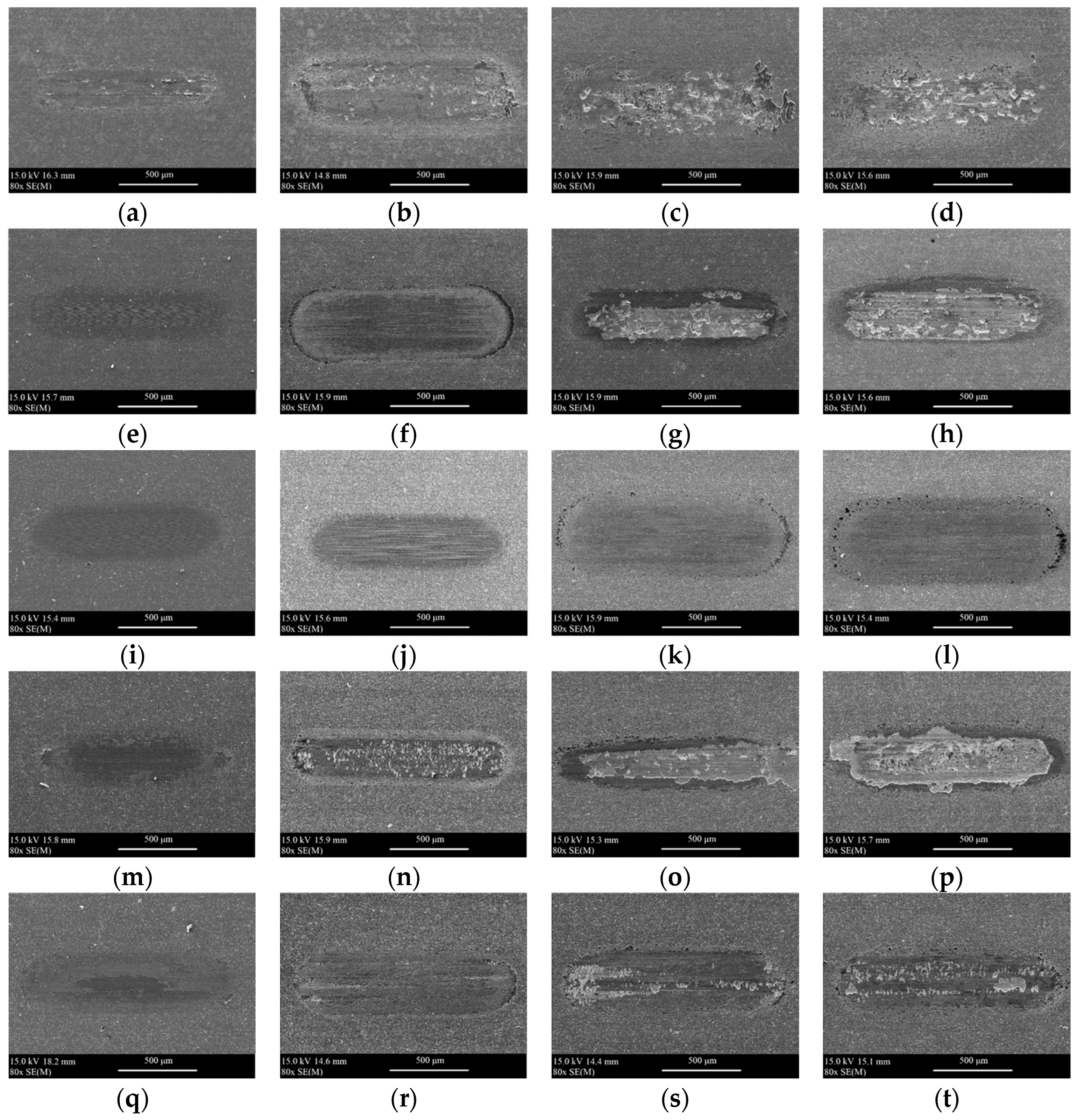 Materials 18 05274 g012