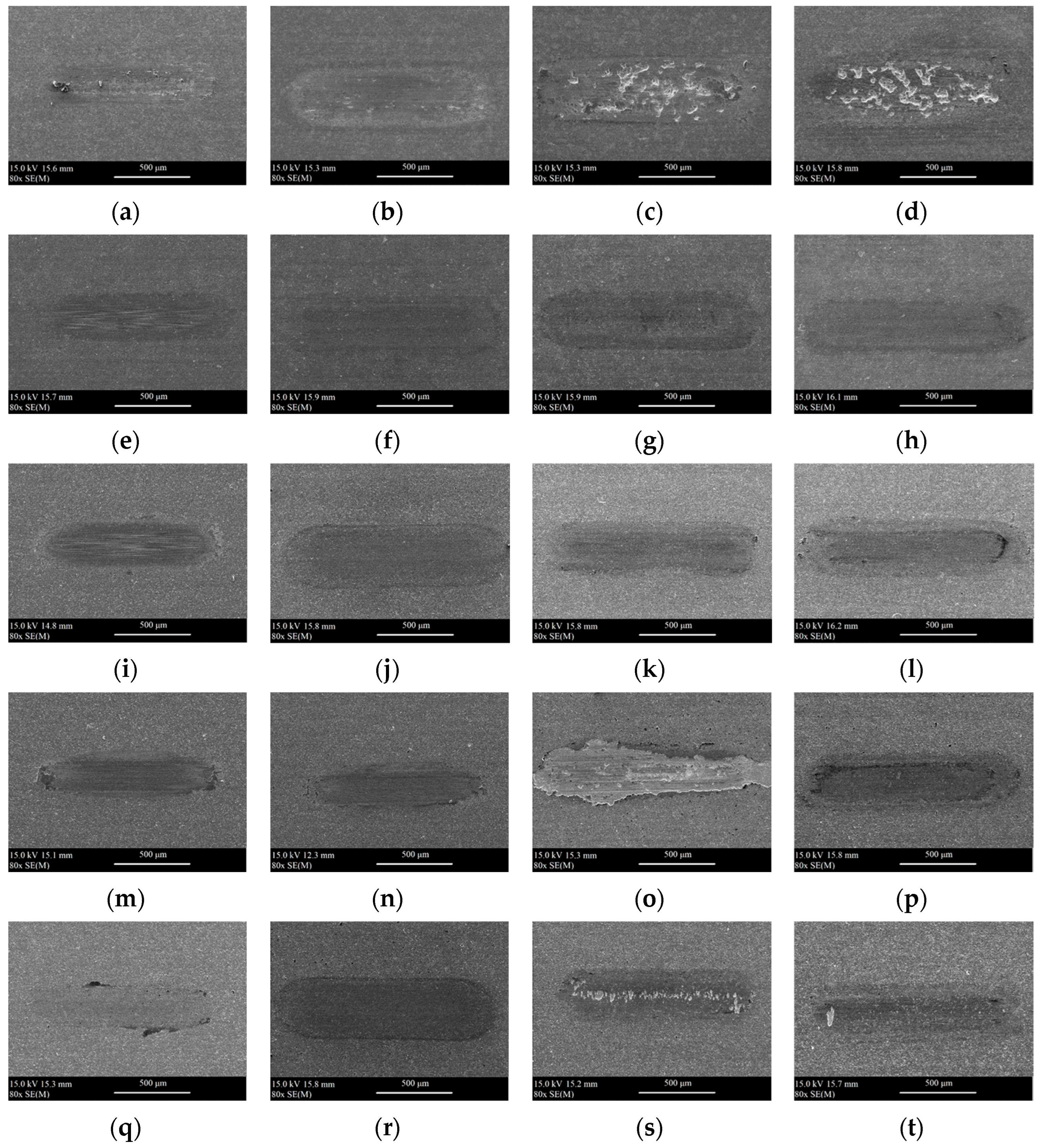 Materials 18 05274 g013