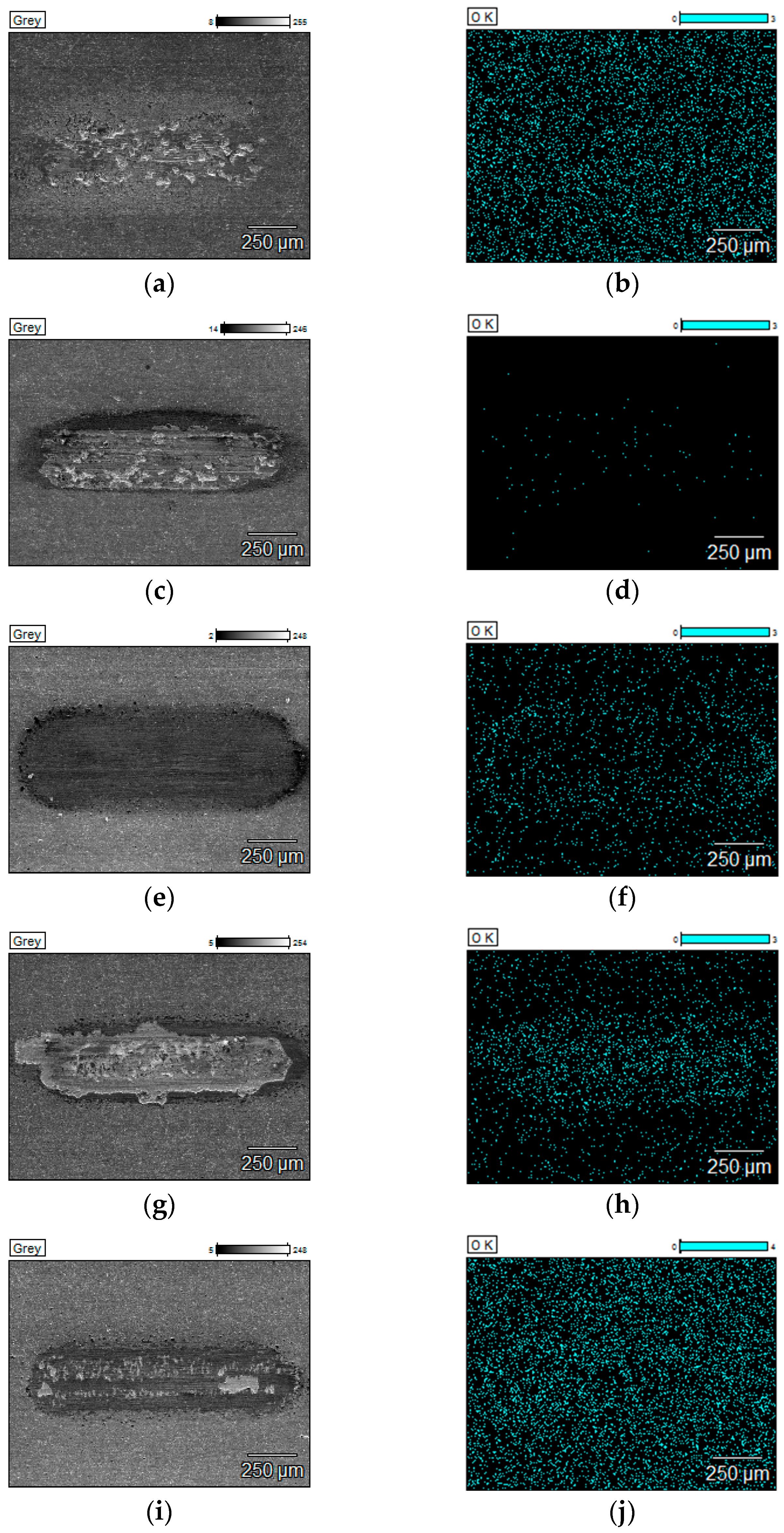 Materials 18 05274 g015