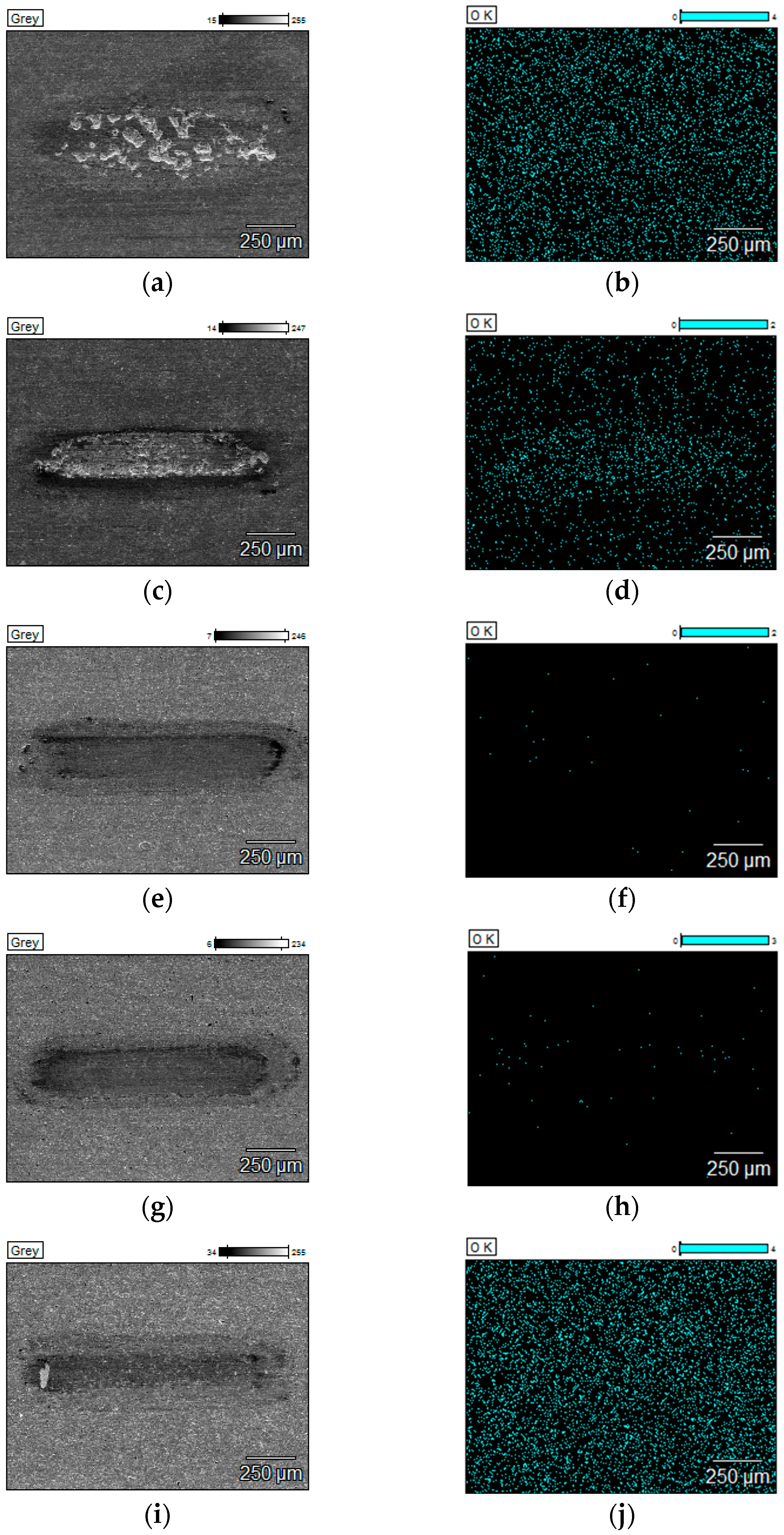 Materials 18 05274 g016