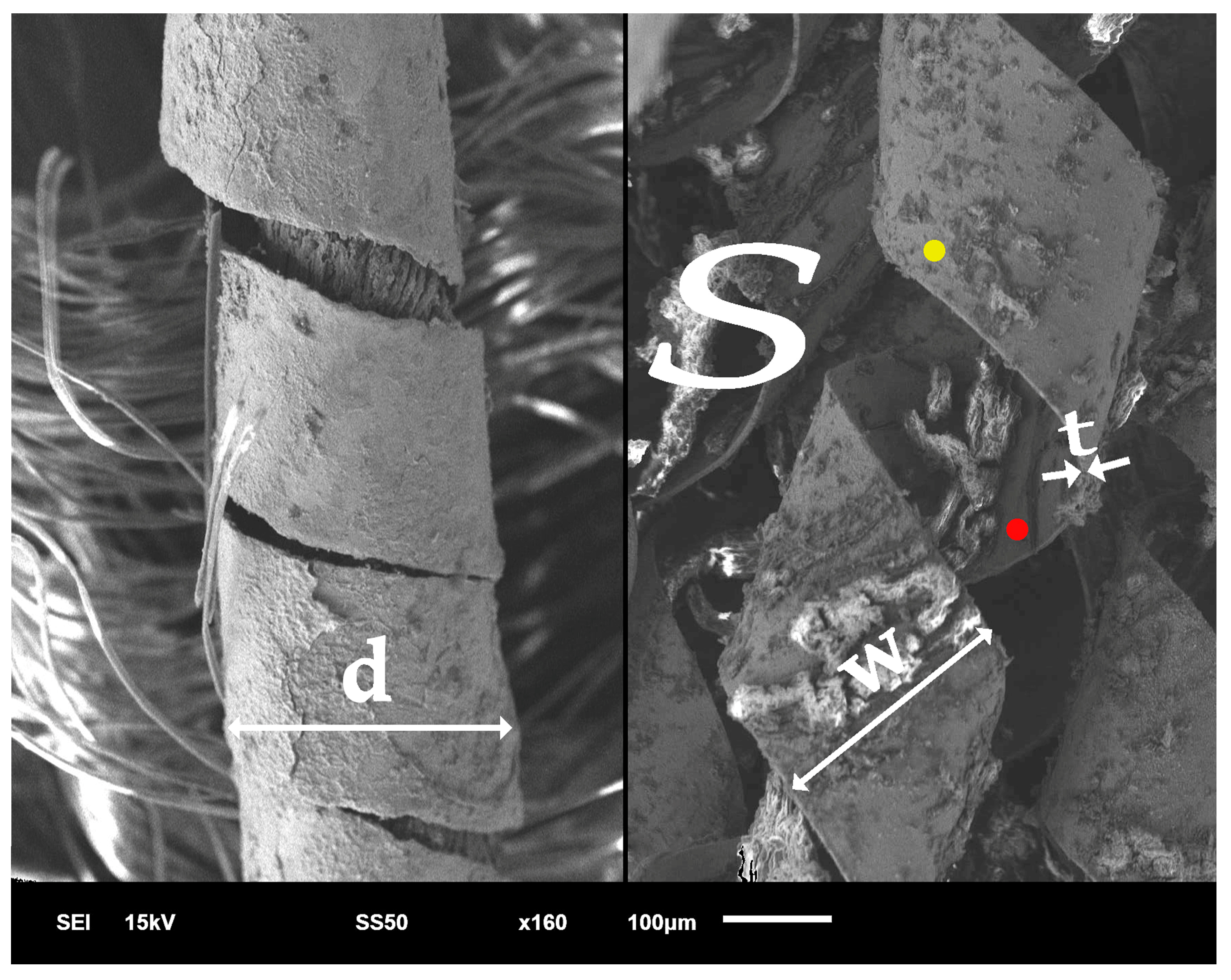 Materials 18 05279 g003