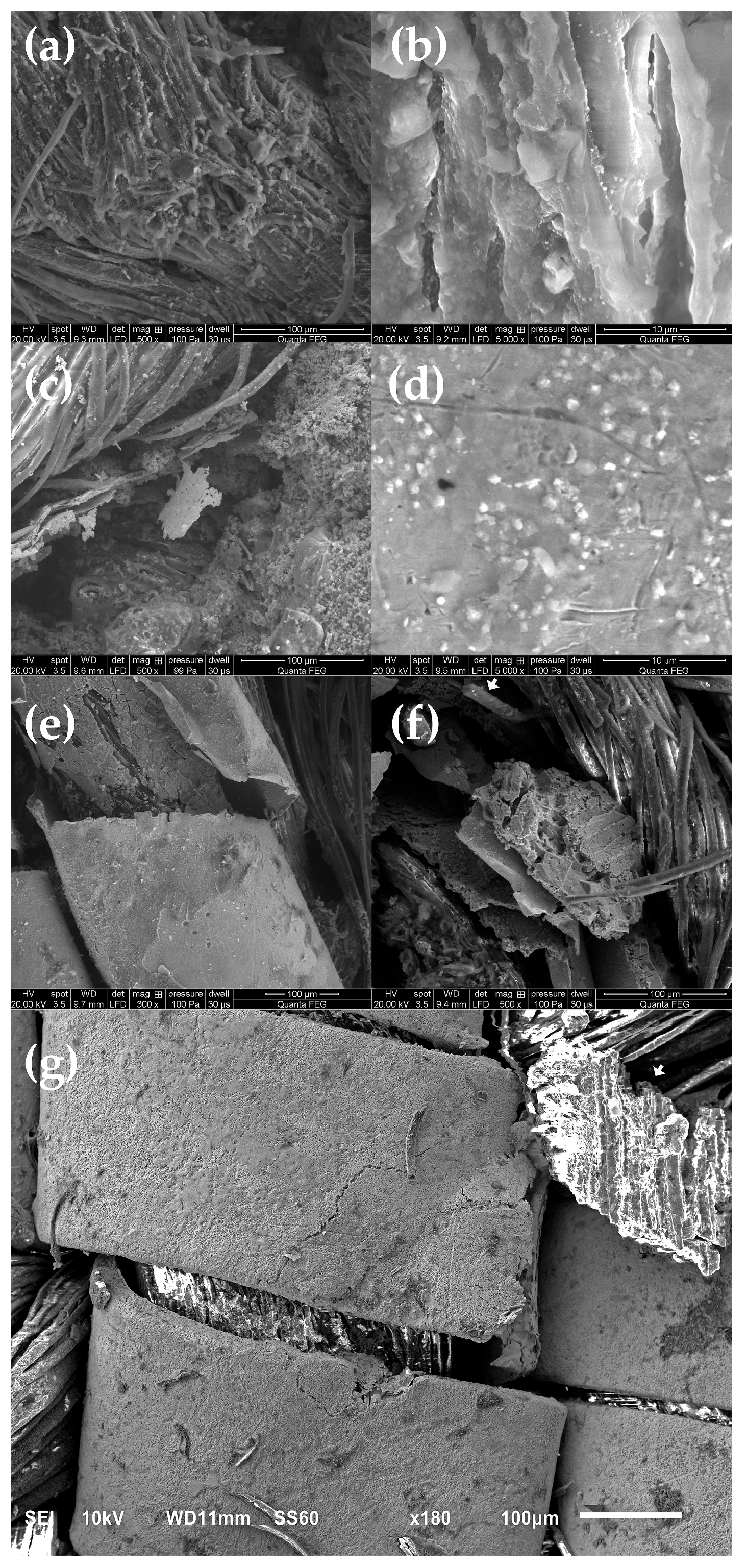 Materials 18 05279 g005