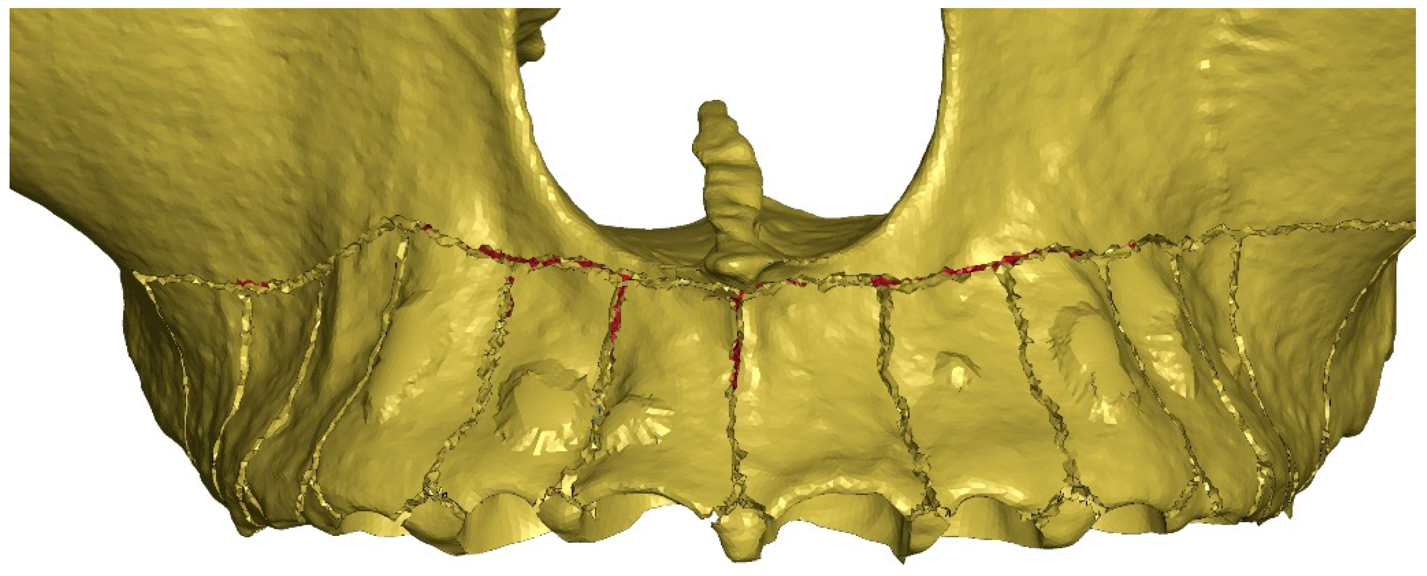 Materials 18 05290 g004