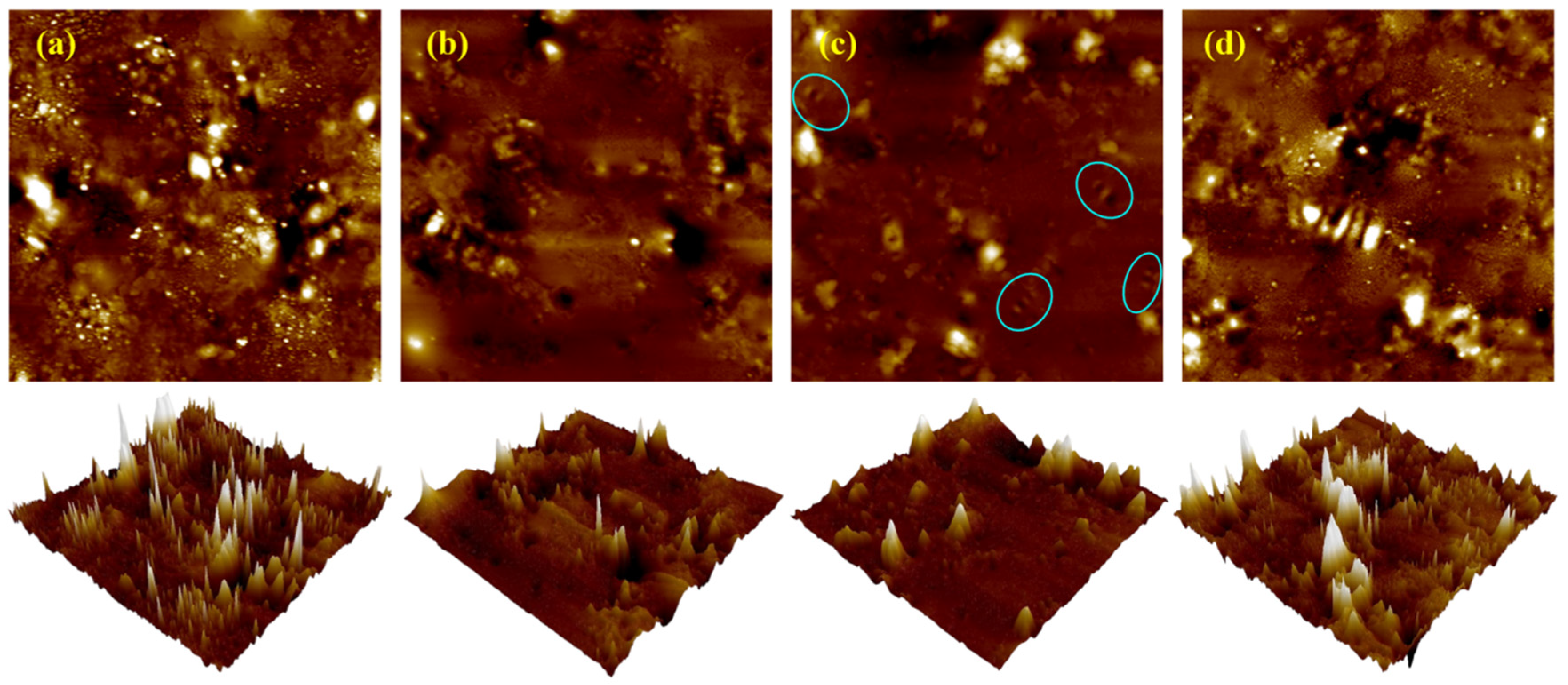 Materials 18 05292 g021