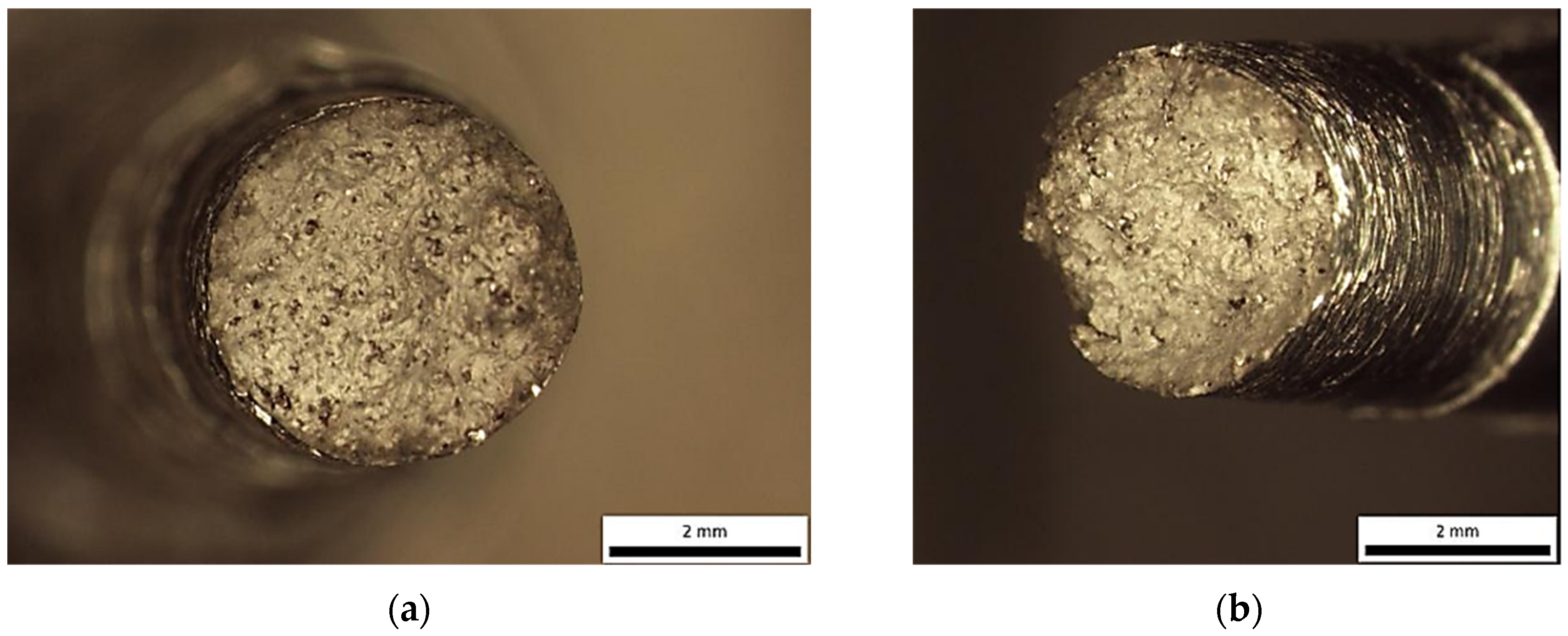 Materials 18 05294 g007