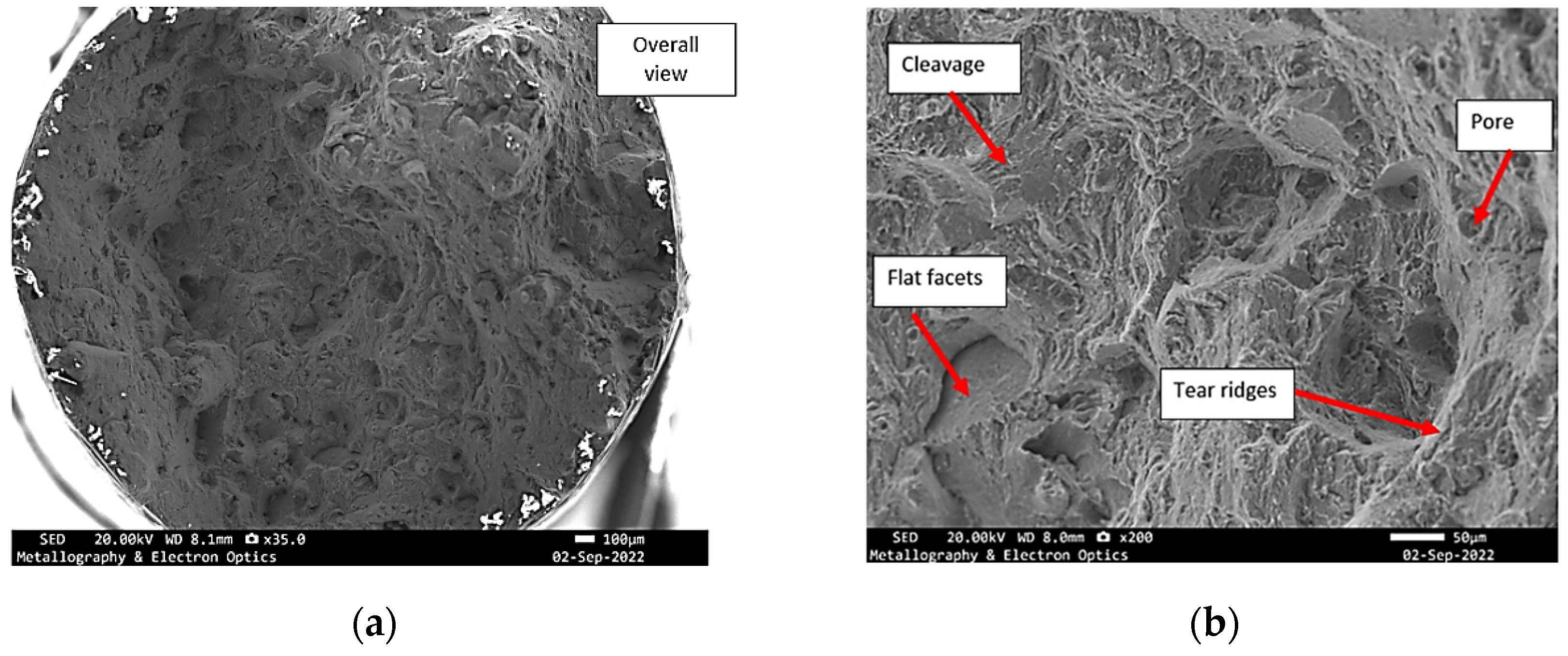 Materials 18 05294 g008