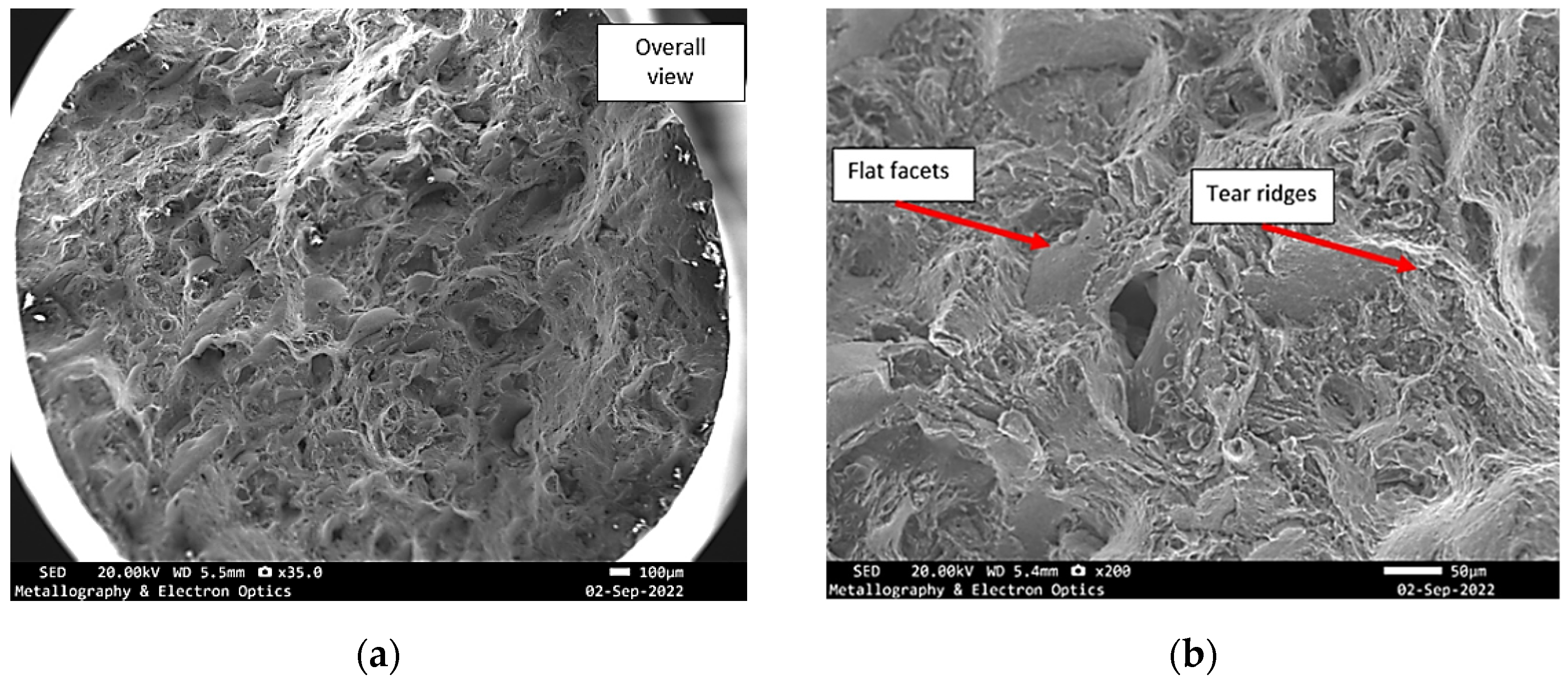 Materials 18 05294 g012