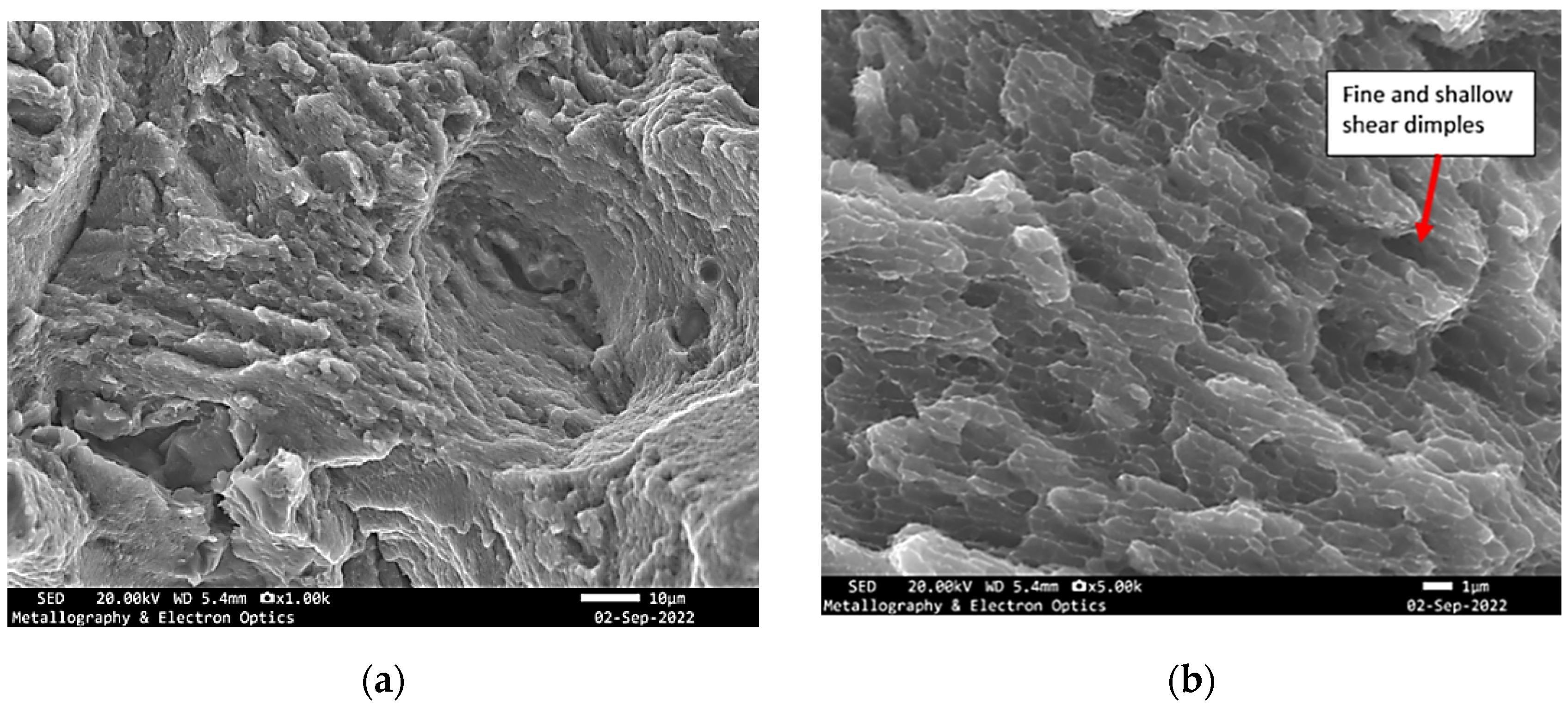 Materials 18 05294 g013