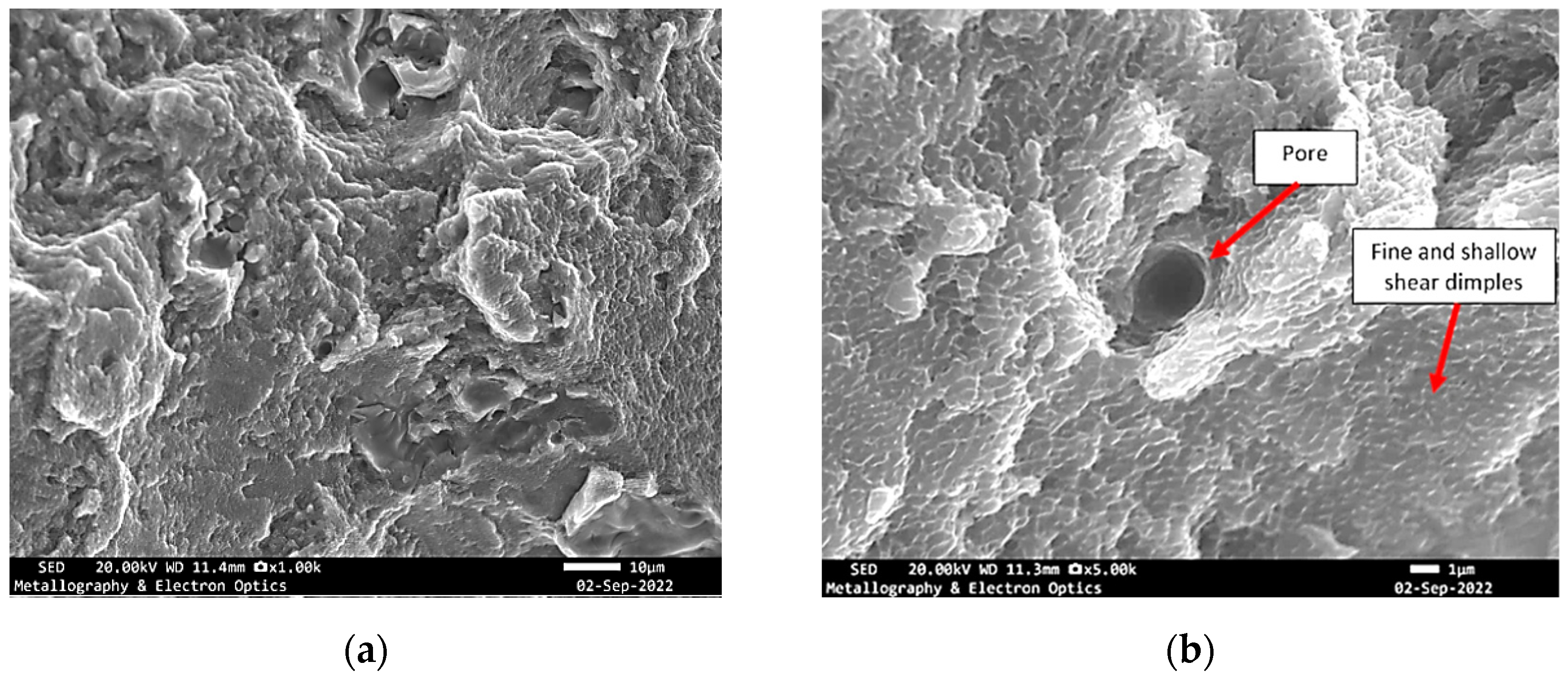 Materials 18 05294 g017