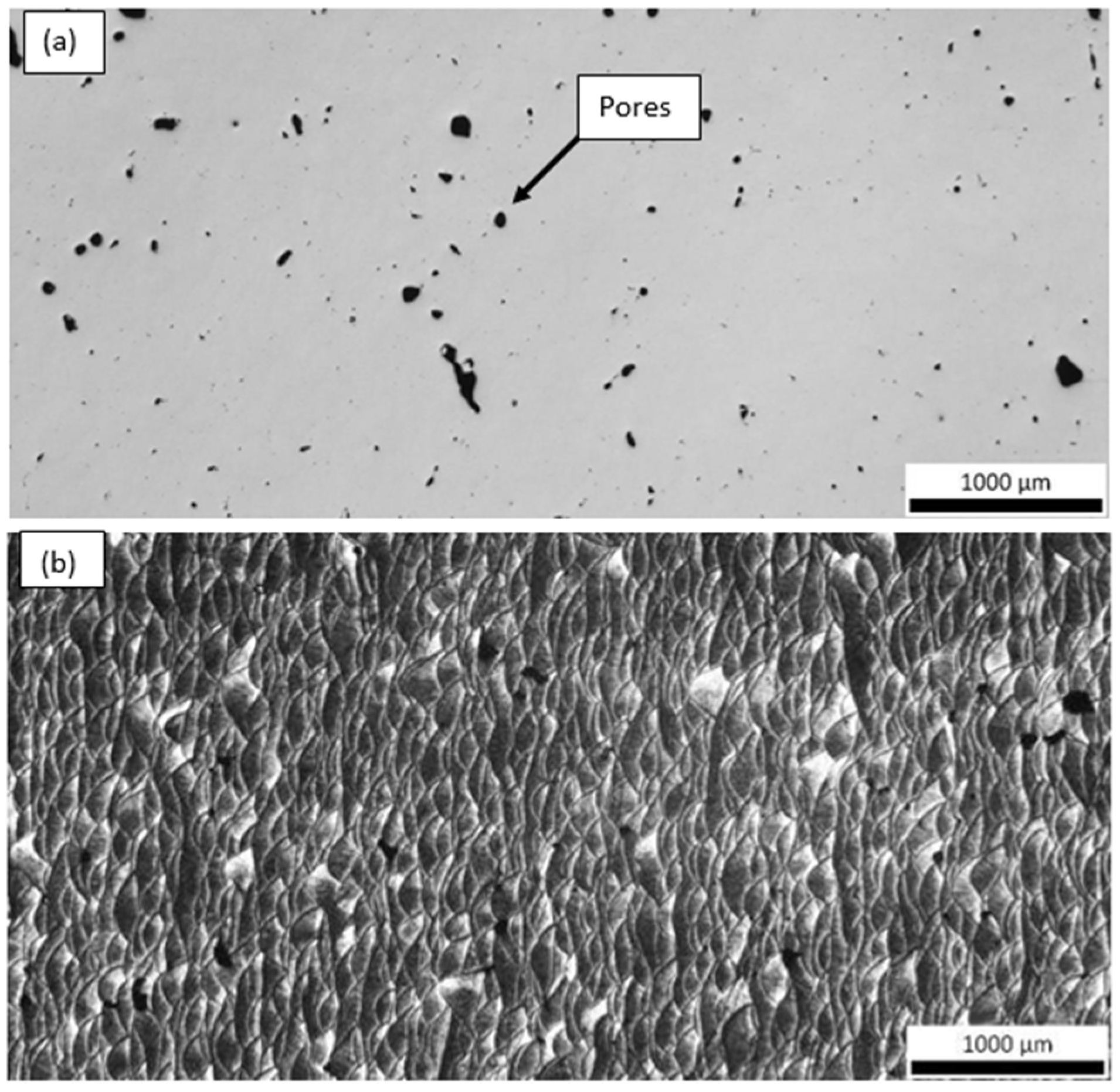 Materials 18 05294 g019