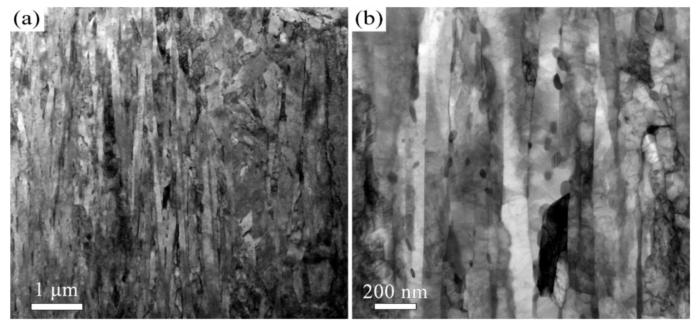 Materials 18 05308 g002