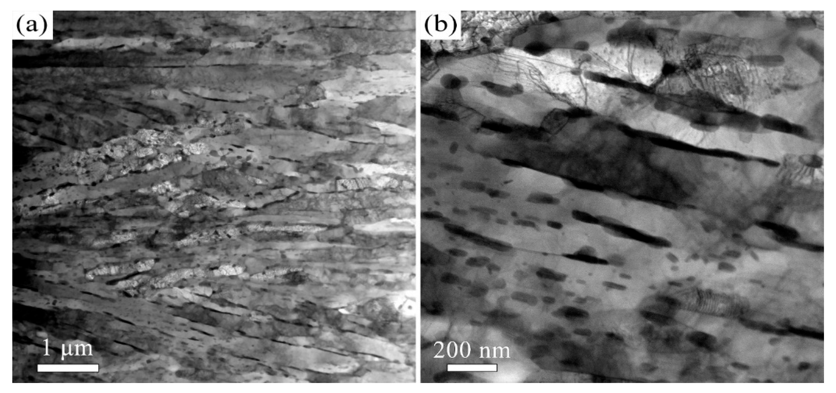 Materials 18 05308 g004