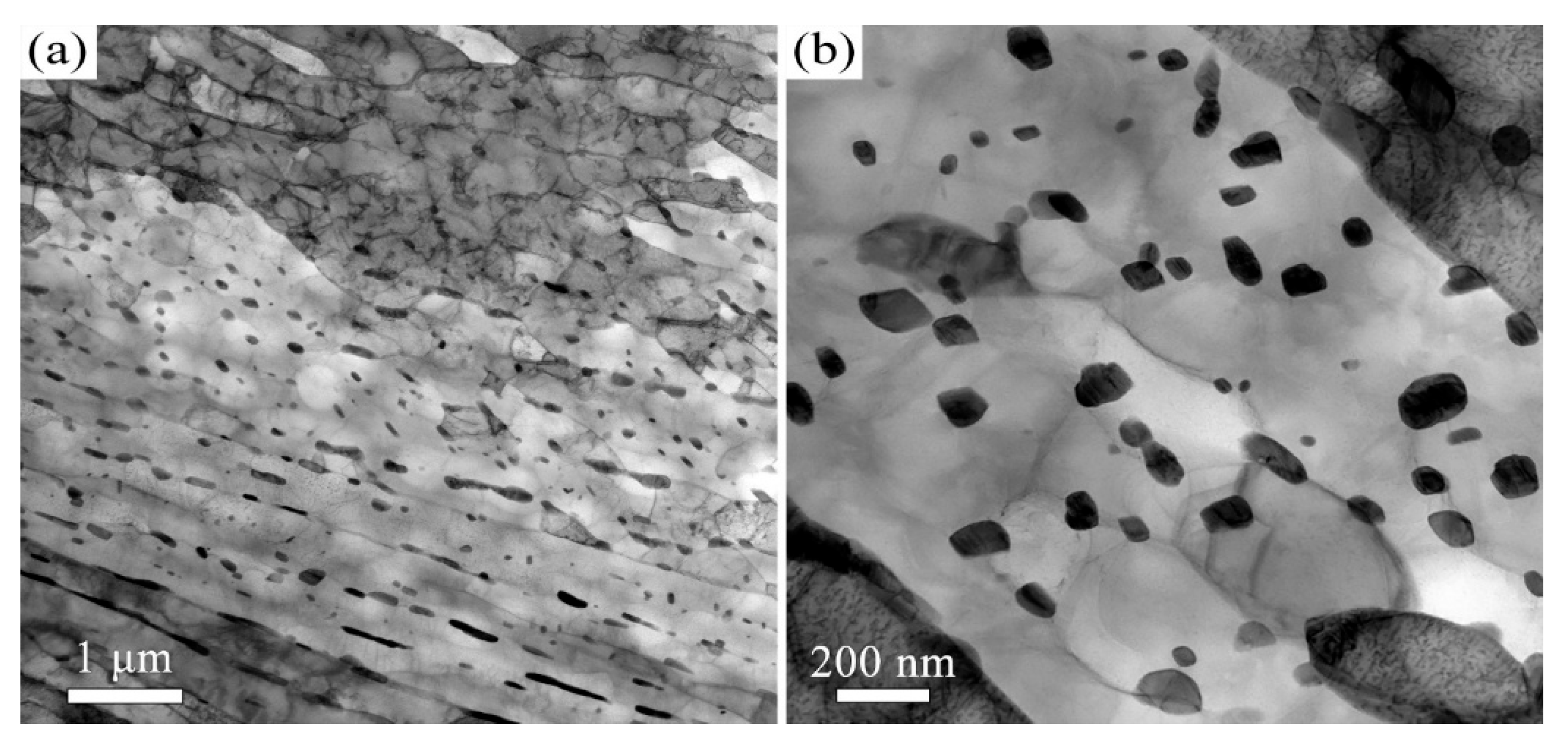 Materials 18 05308 g006