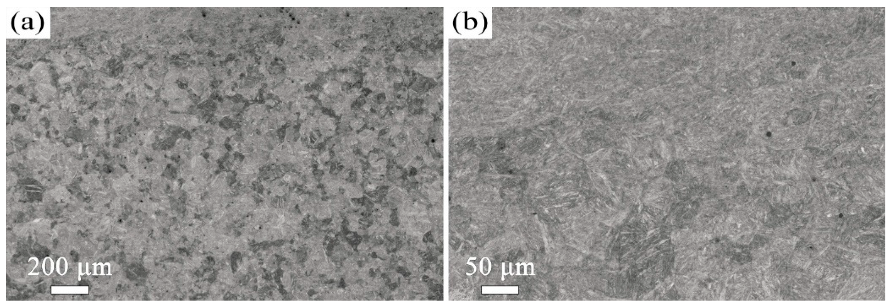 Materials 18 05308 g009