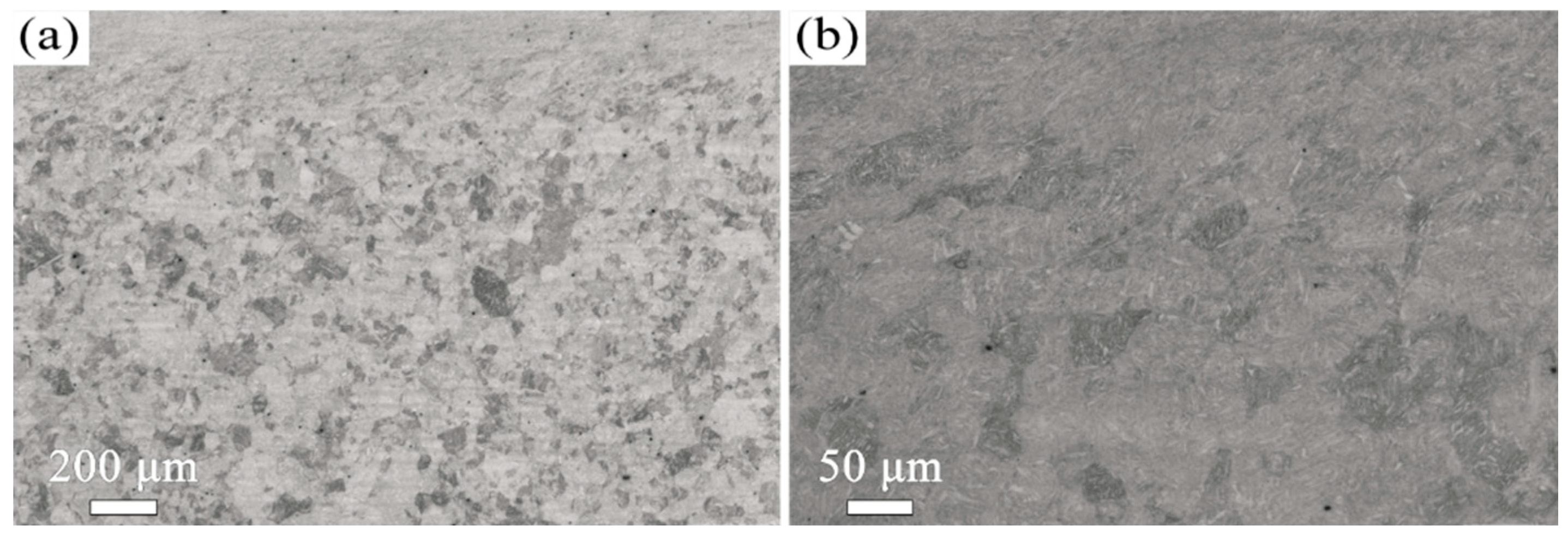 Materials 18 05308 g011