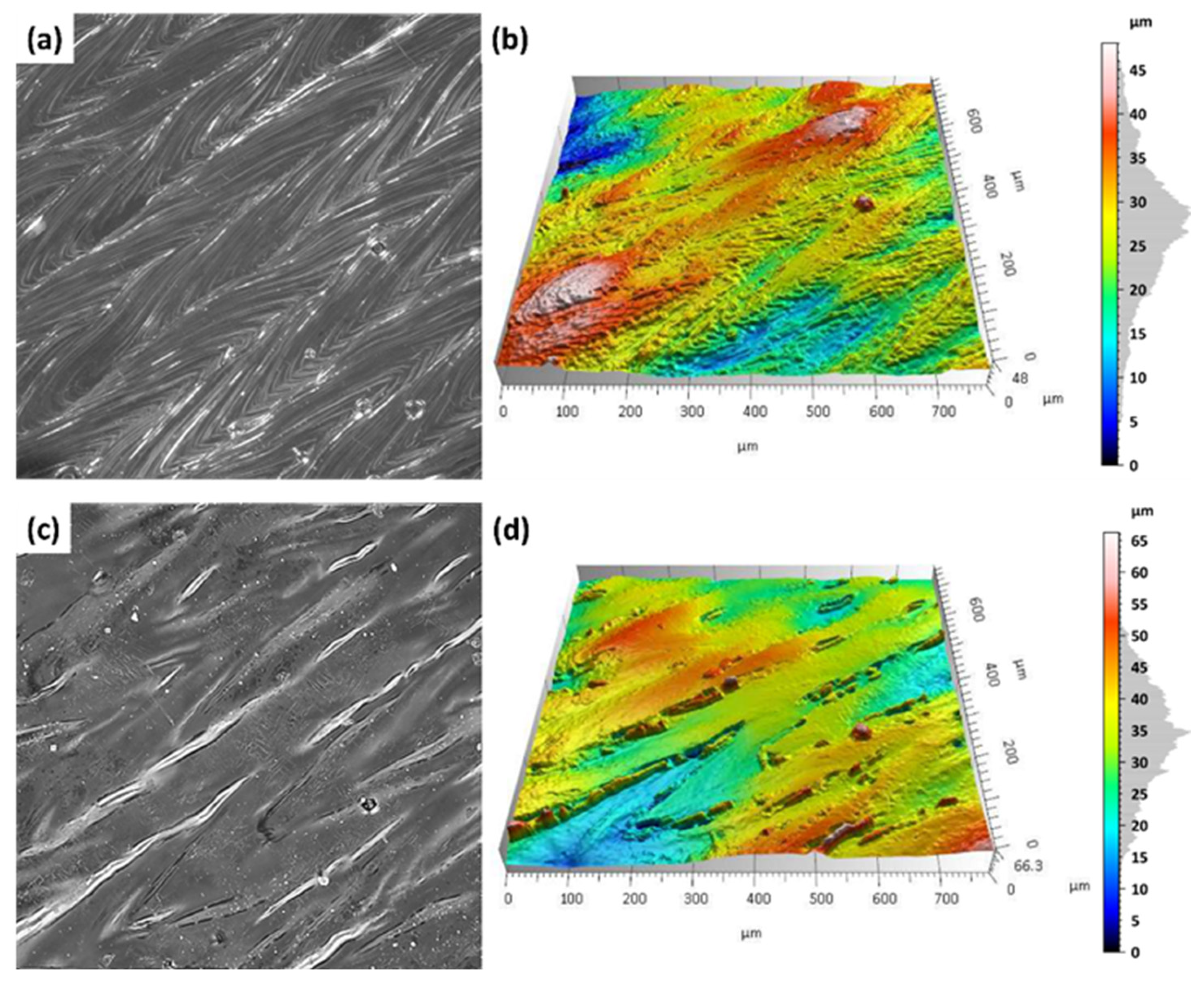 Materials 18 05315 g010 Materials 18 05315 g010