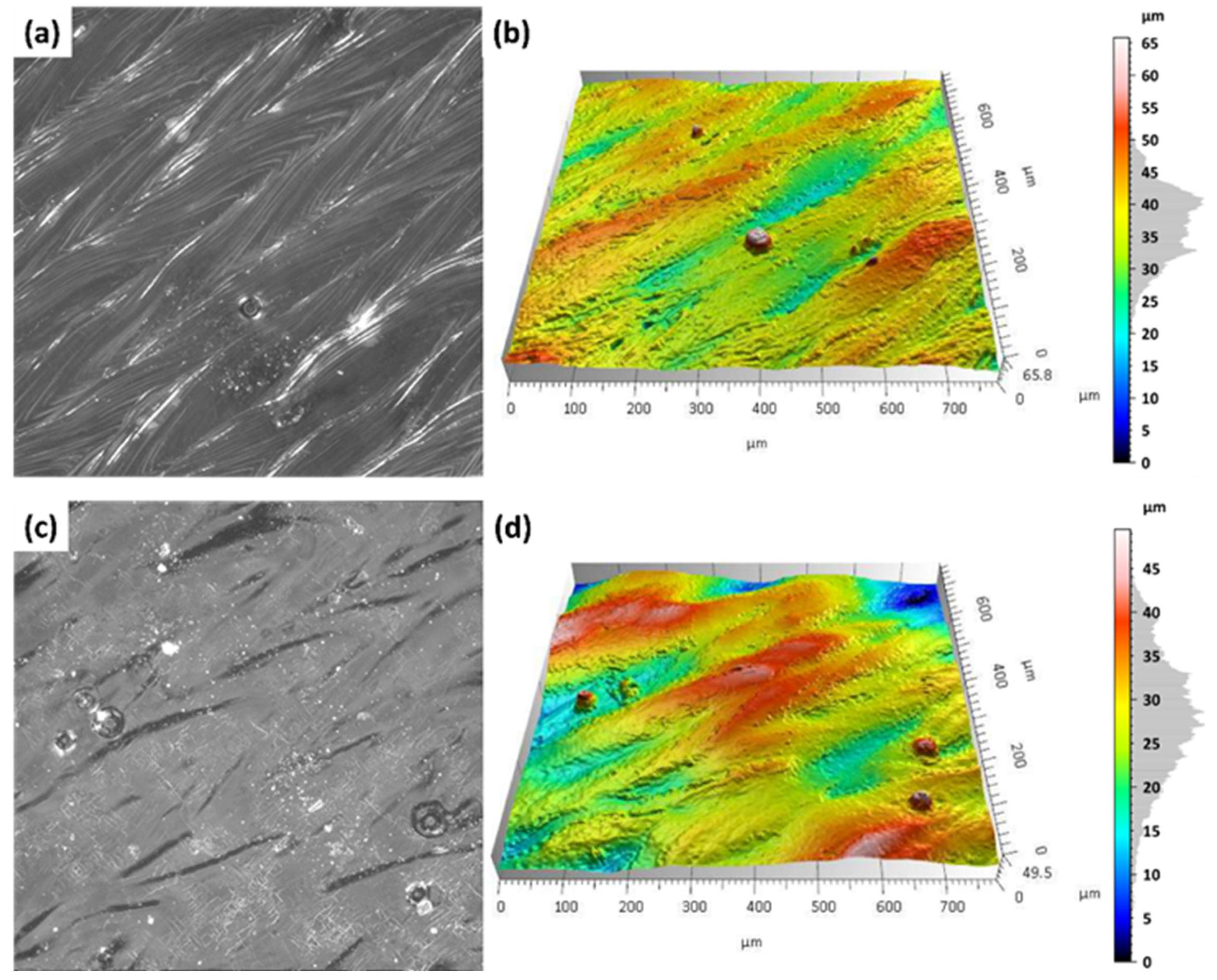Materials 18 05315 g011 Materials 18 05315 g011